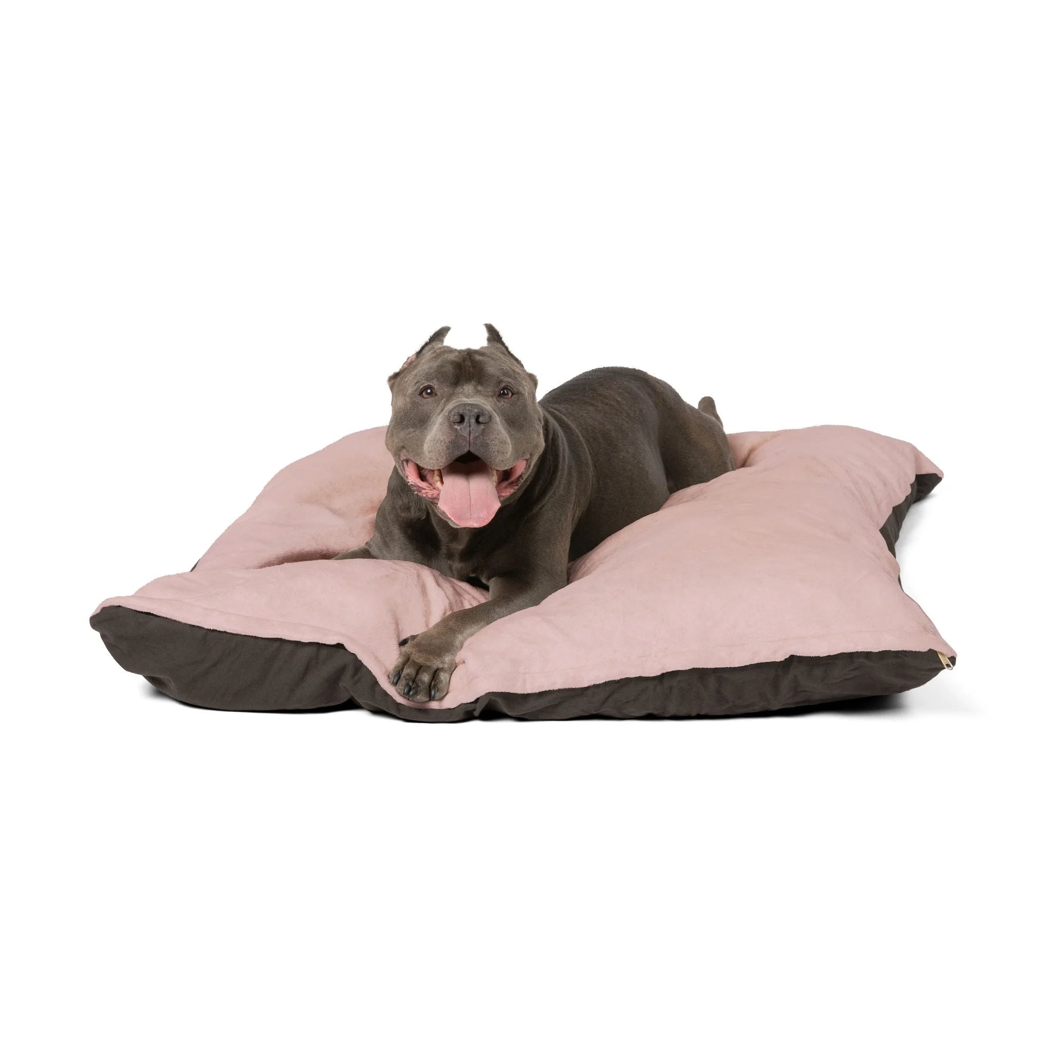 Buy The Best By Printify - Pet Bed - 2026