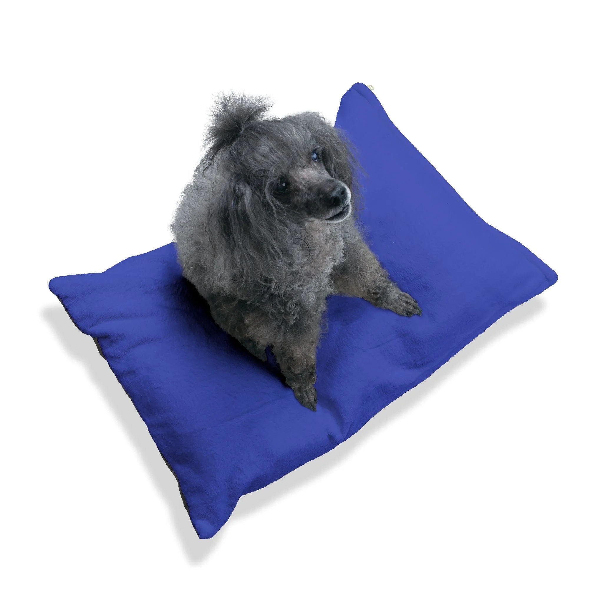 Buy The Best By Artsulli x Color Printify - Pet Bed - 2026