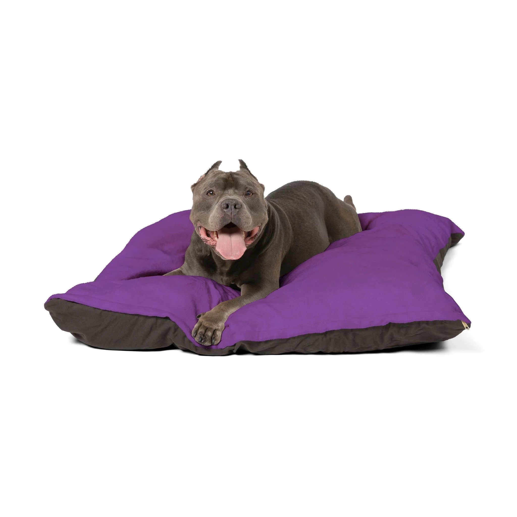 Buy The Best By Artsulli x Color Printify - Pet Bed - 2026