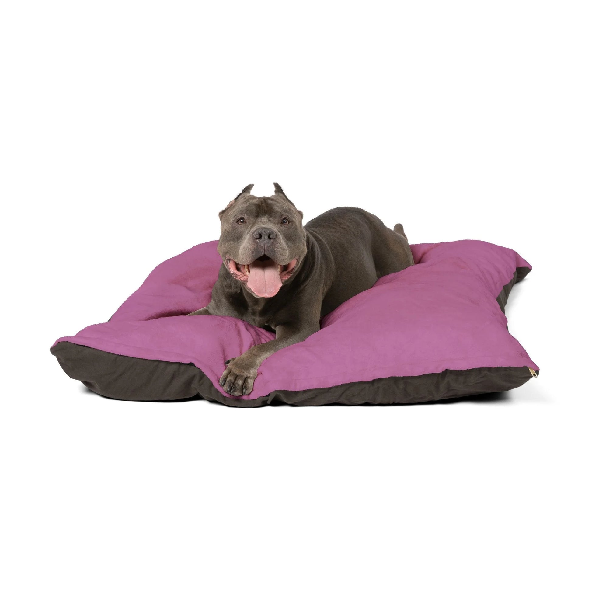 Buy The Best By Artsulli x Color Printify - Pet Bed - 2026