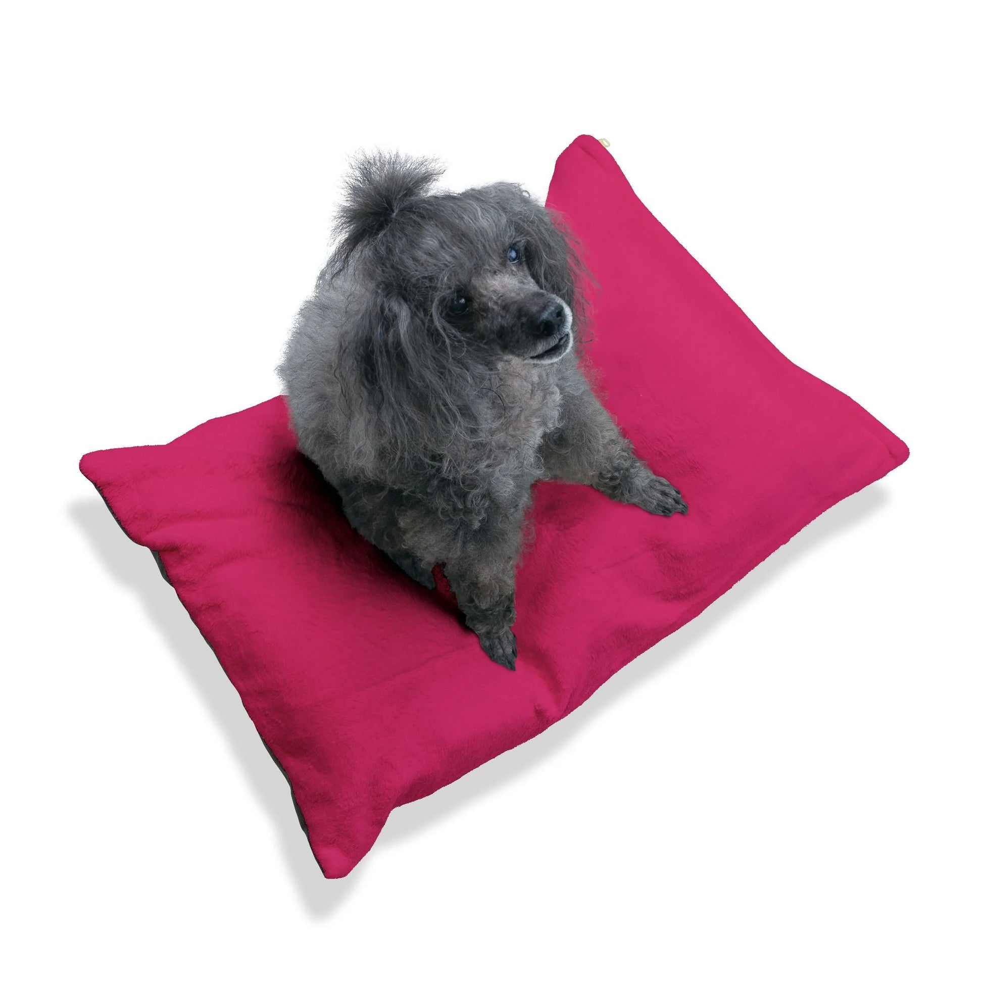 Buy The Best By Artsulli x Color Printify - Pet Bed - 2026