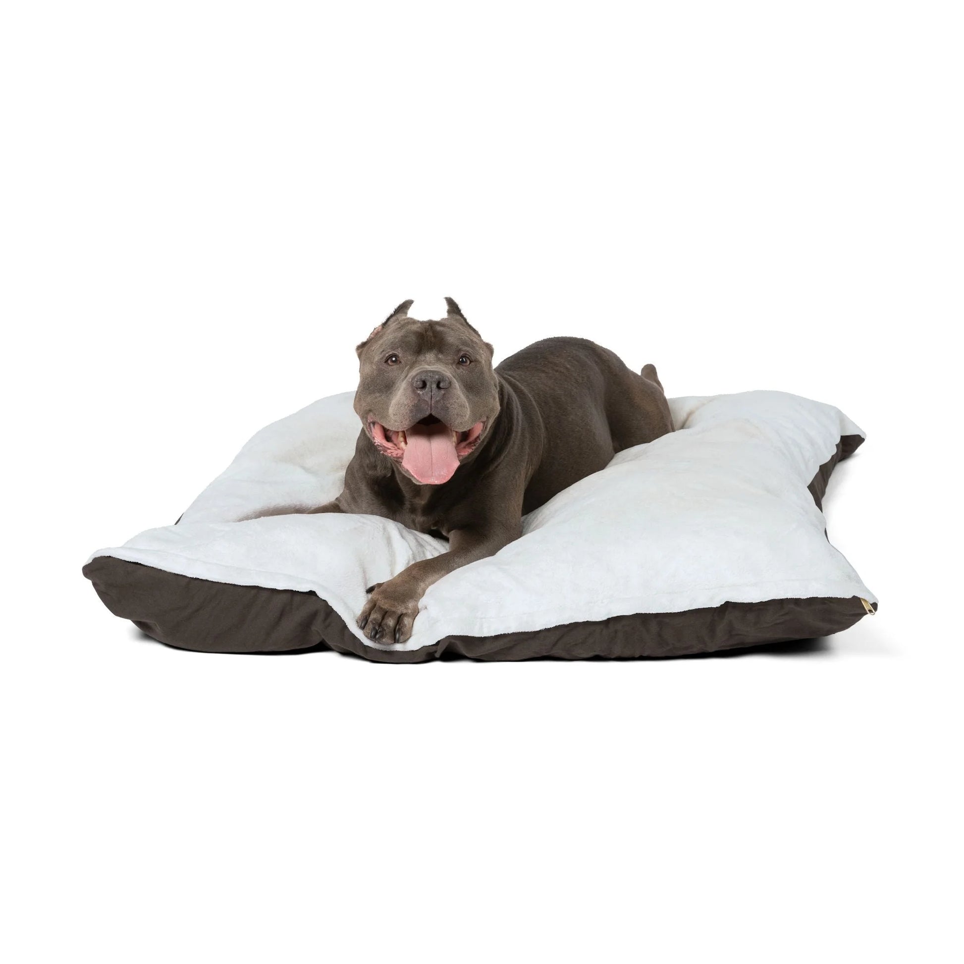 Buy The Best By Artsulli x Color Printify - Pet Bed - 2026