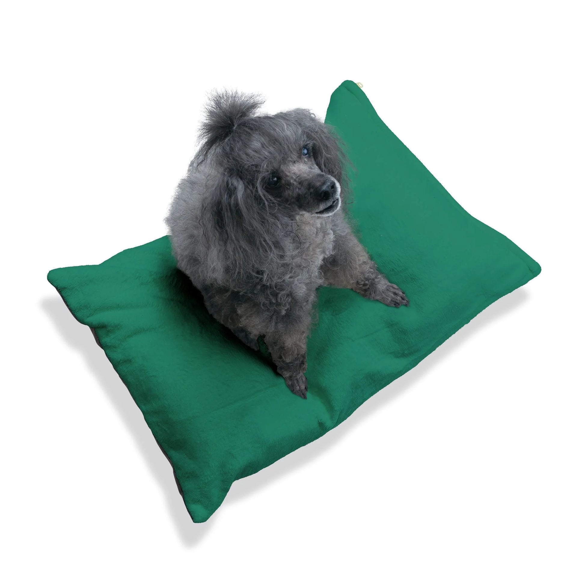 Buy The Best By Artsulli x Color Printify - Pet Bed - 2026
