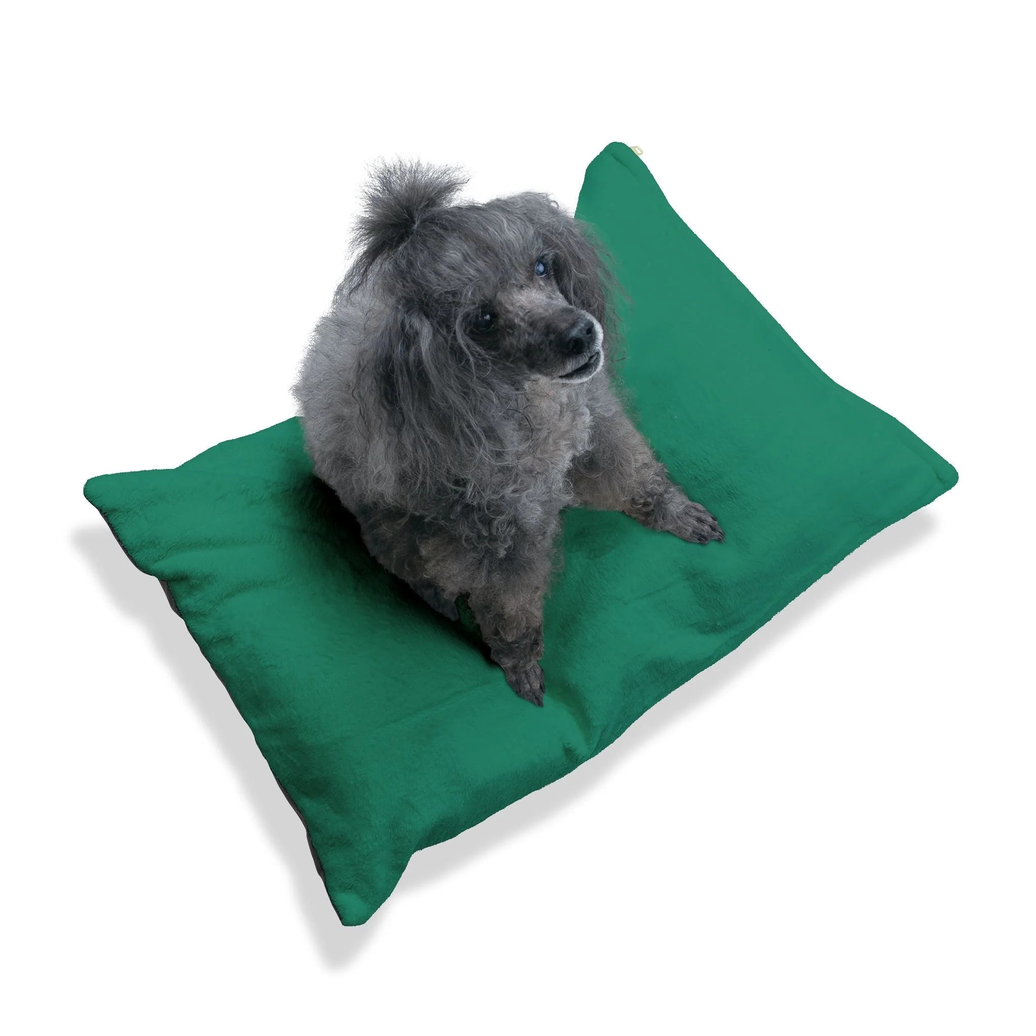 Buy The Best By Artsulli x Color Printify - Pet Bed - 2026