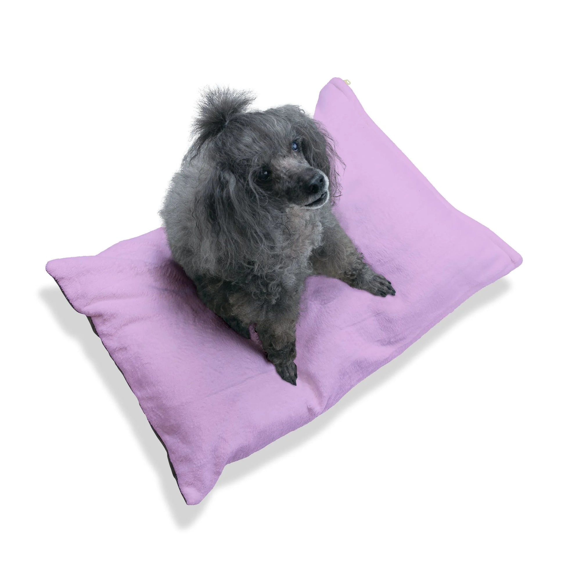 Buy The Best By Artsulli x Color Printify - Pet Bed - 2026