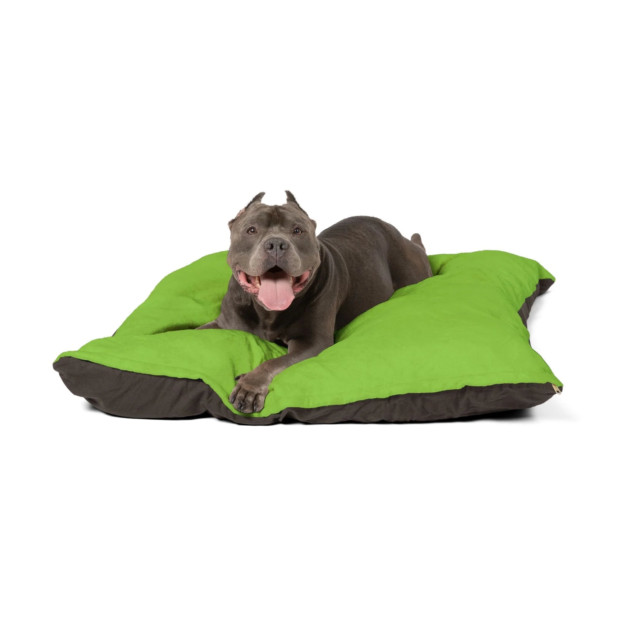 Buy The Best By Artsulli x Color Printify - Pet Bed - 2026