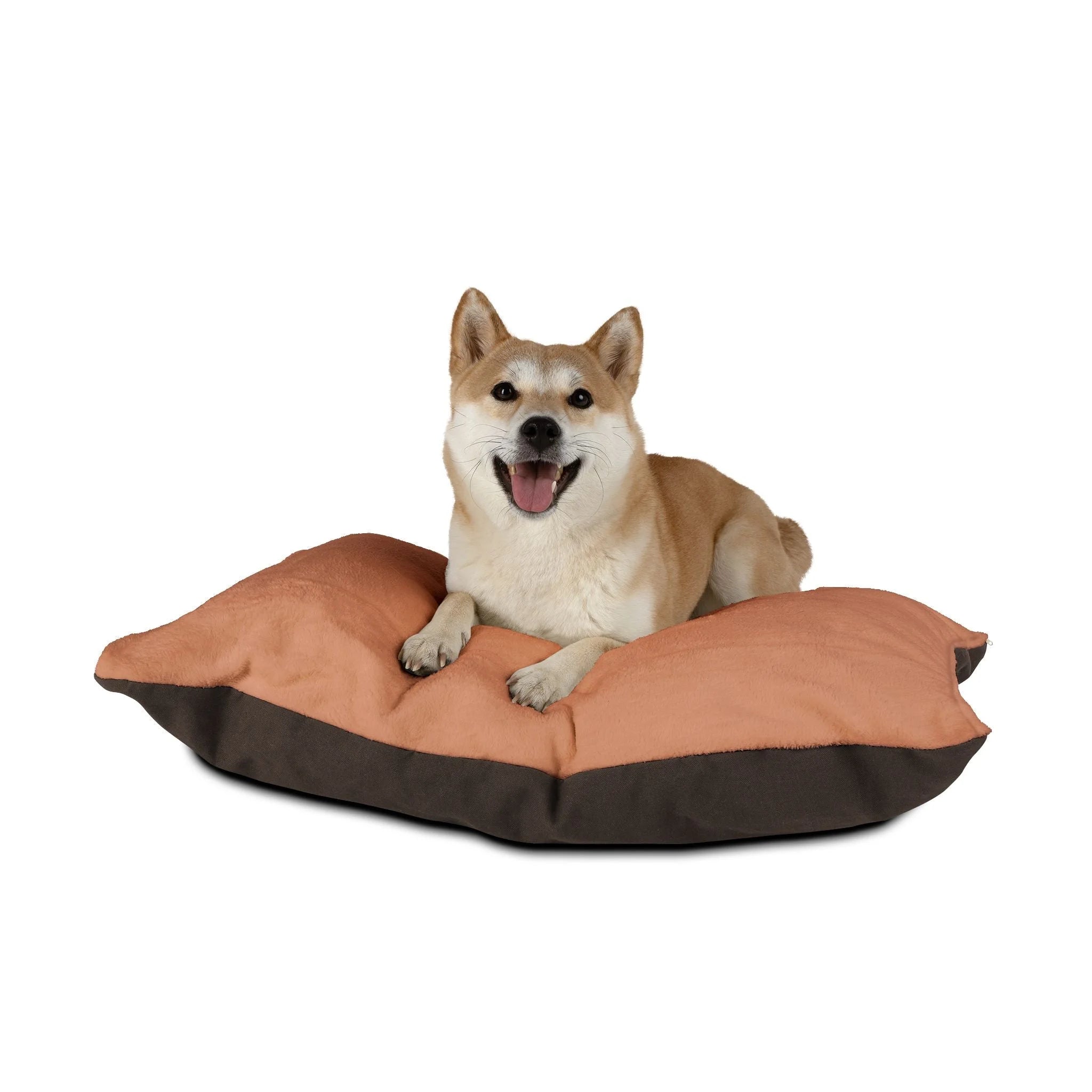 Buy The Best By Artsulli x Color Printify - Pet Bed - 2026