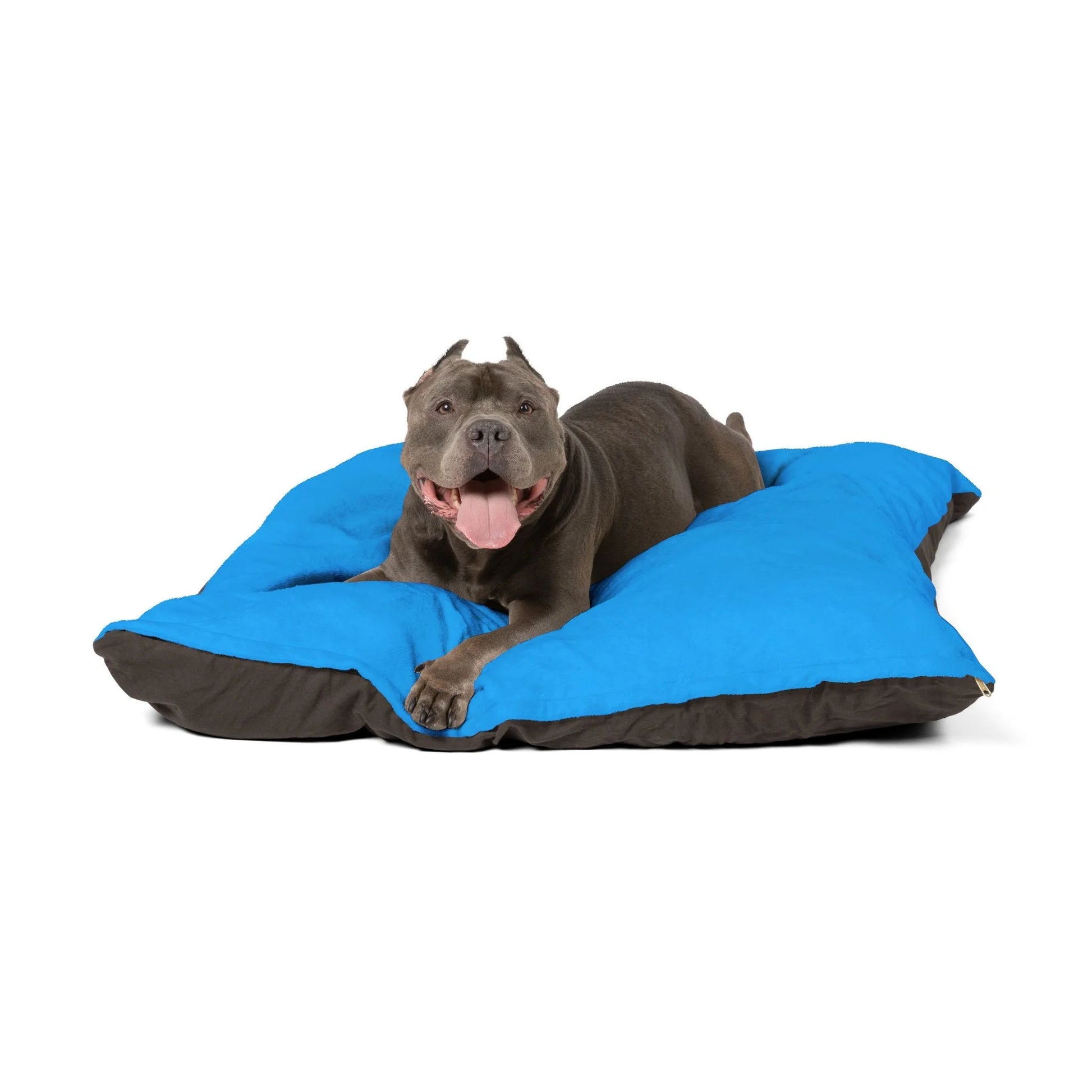 Buy The Best By Artsulli x Color Printify - Pet Bed - 2026