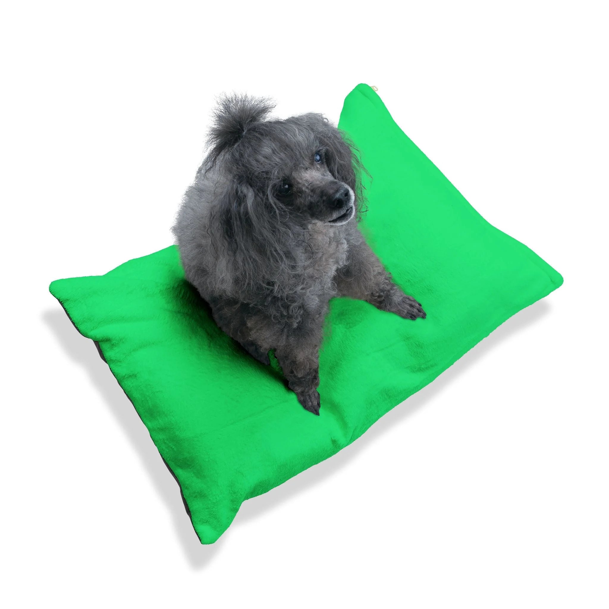 Buy The Best By Artsulli x Color Printify - Pet Bed - 2026