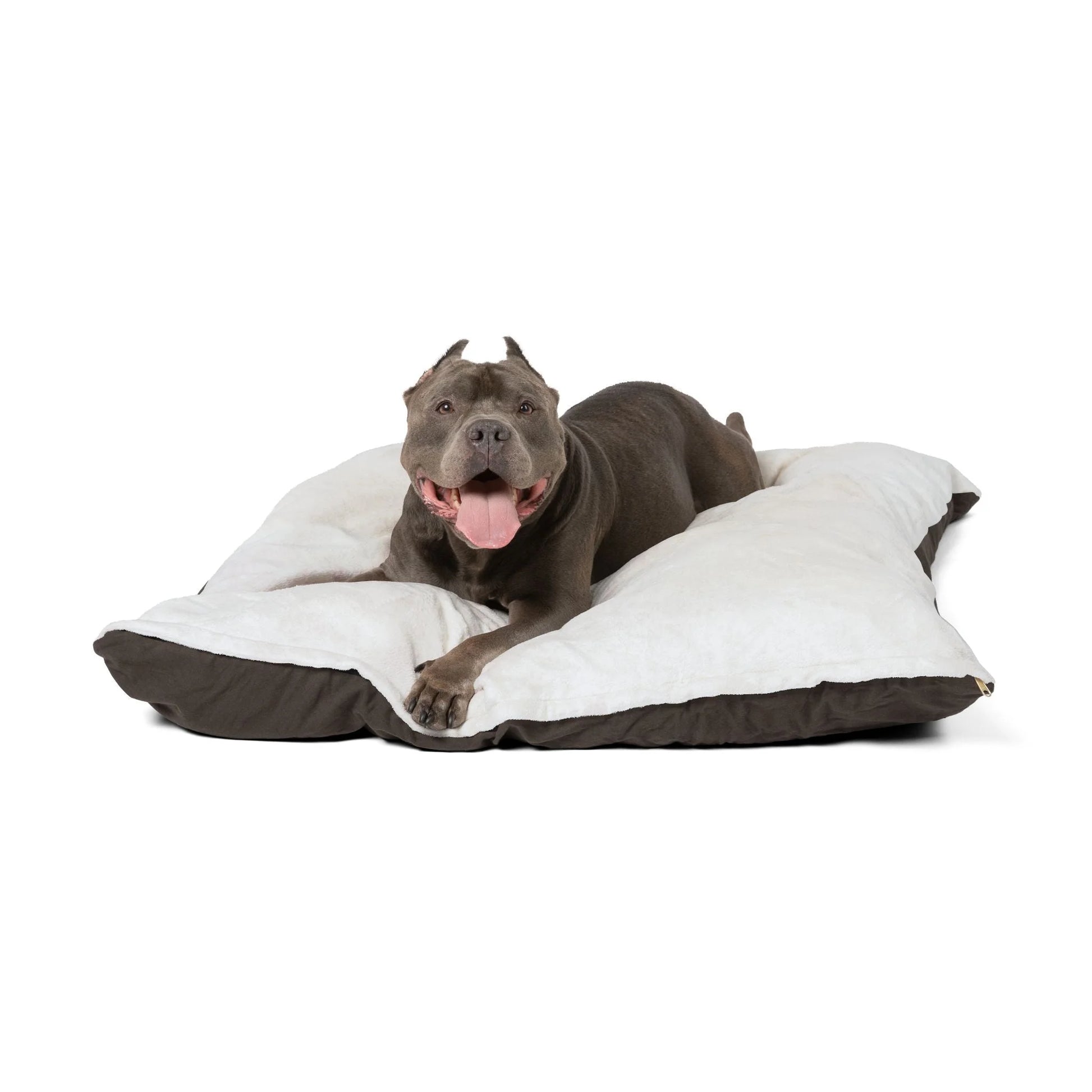 Buy The Best By Artsulli x Color Printify - Pet Bed - 2026