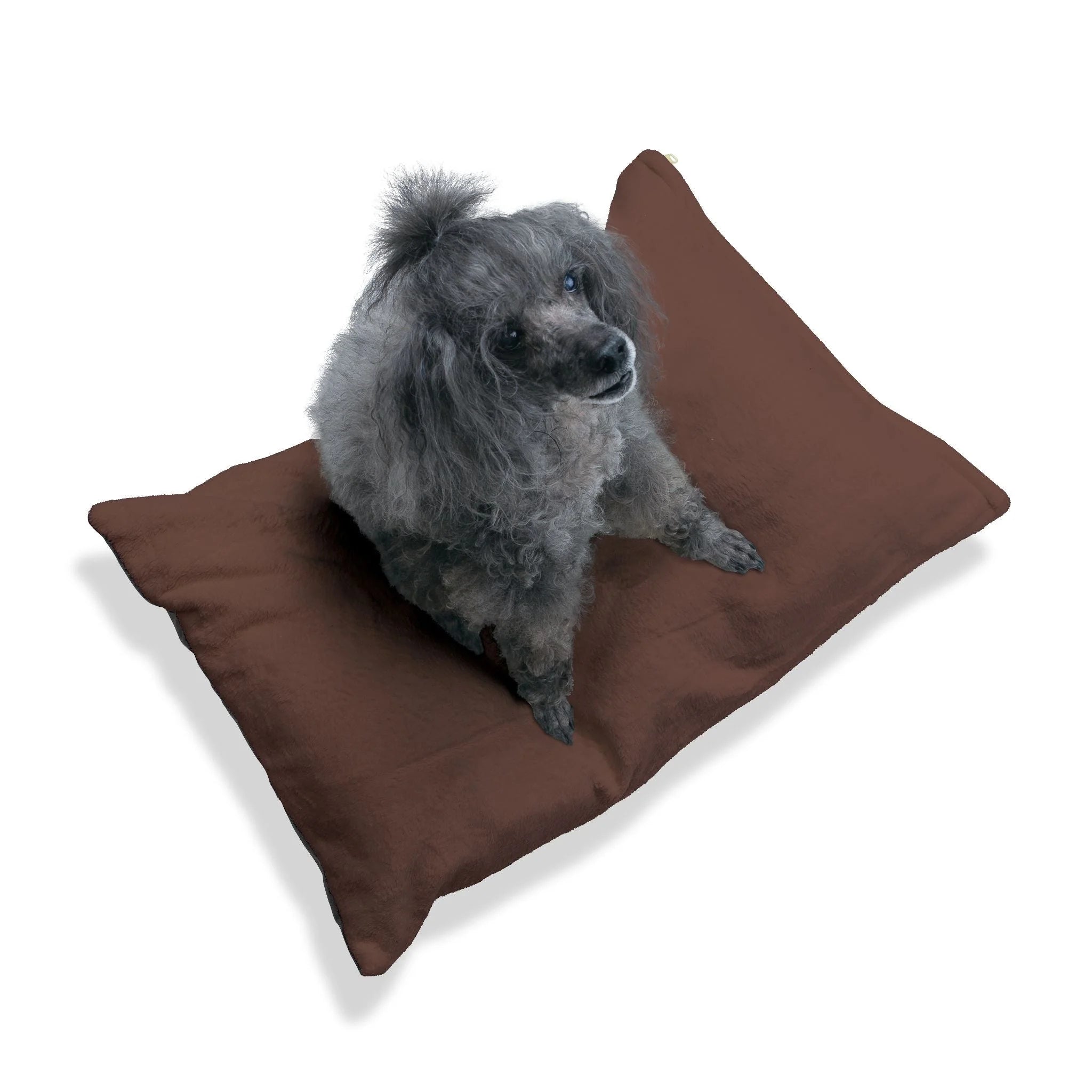 Buy The Best By Artsulli x Color Printify - Pet Bed - 2026
