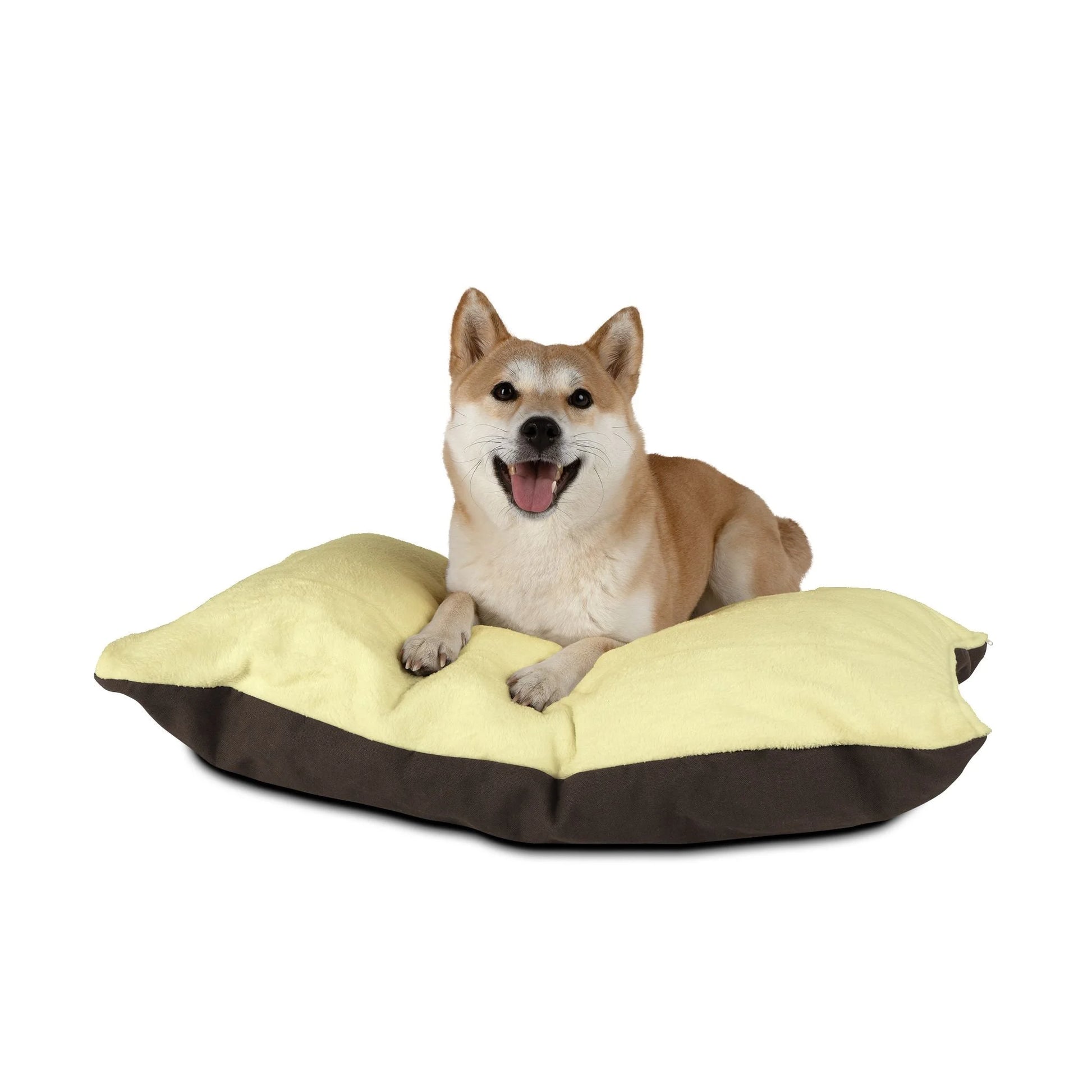 Buy The Best By Artsulli x Color Printify - Pet Bed - 2026