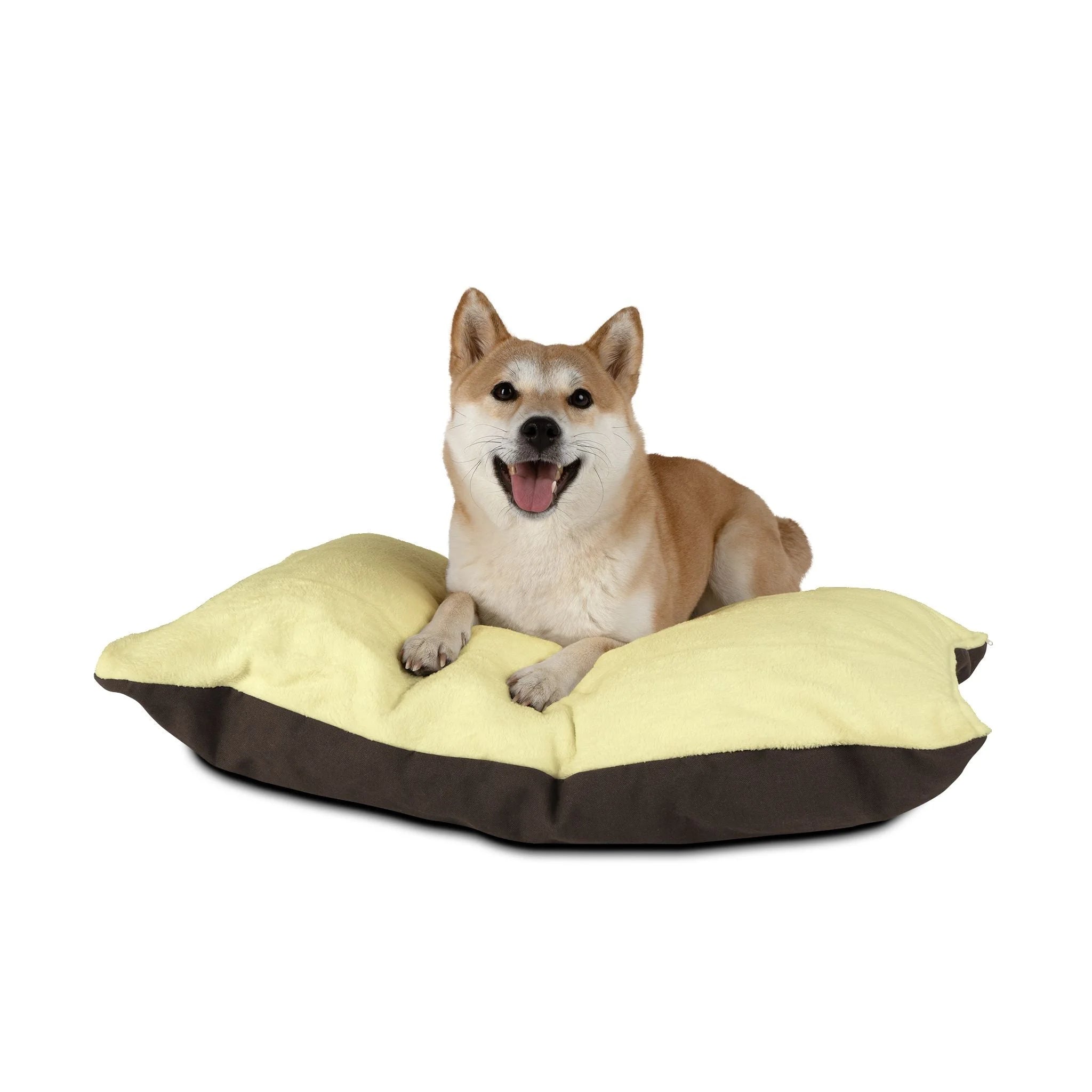 Buy The Best By Artsulli x Color Printify - Pet Bed - 2026