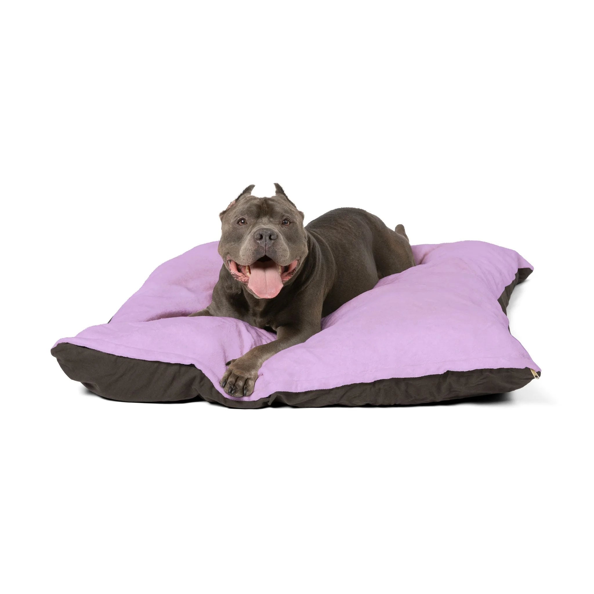 Buy The Best By Artsulli x Color Printify - Pet Bed - 2026
