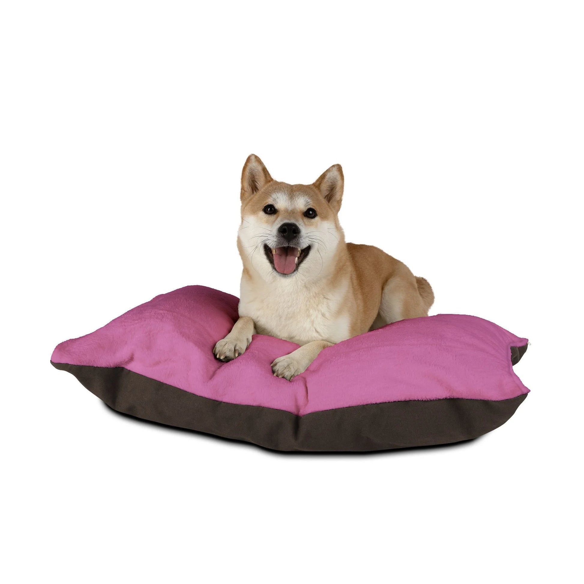 Buy The Best By Artsulli x Color Printify - Pet Bed - 2026