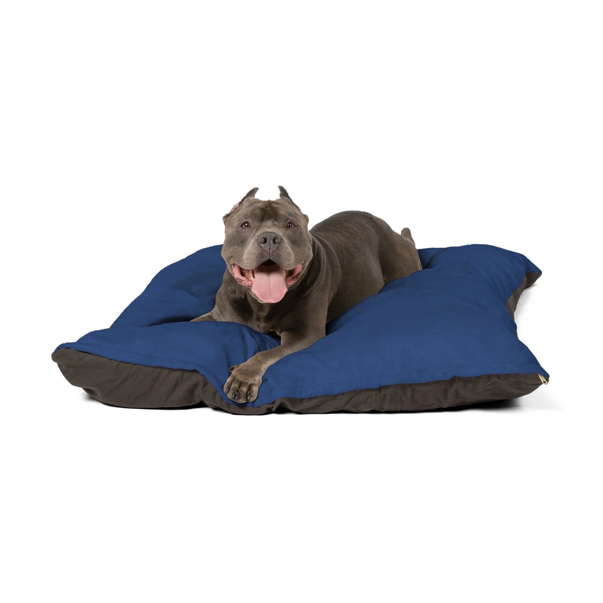 Buy The Best By Artsulli x Color Printify - Pet Bed - 2026