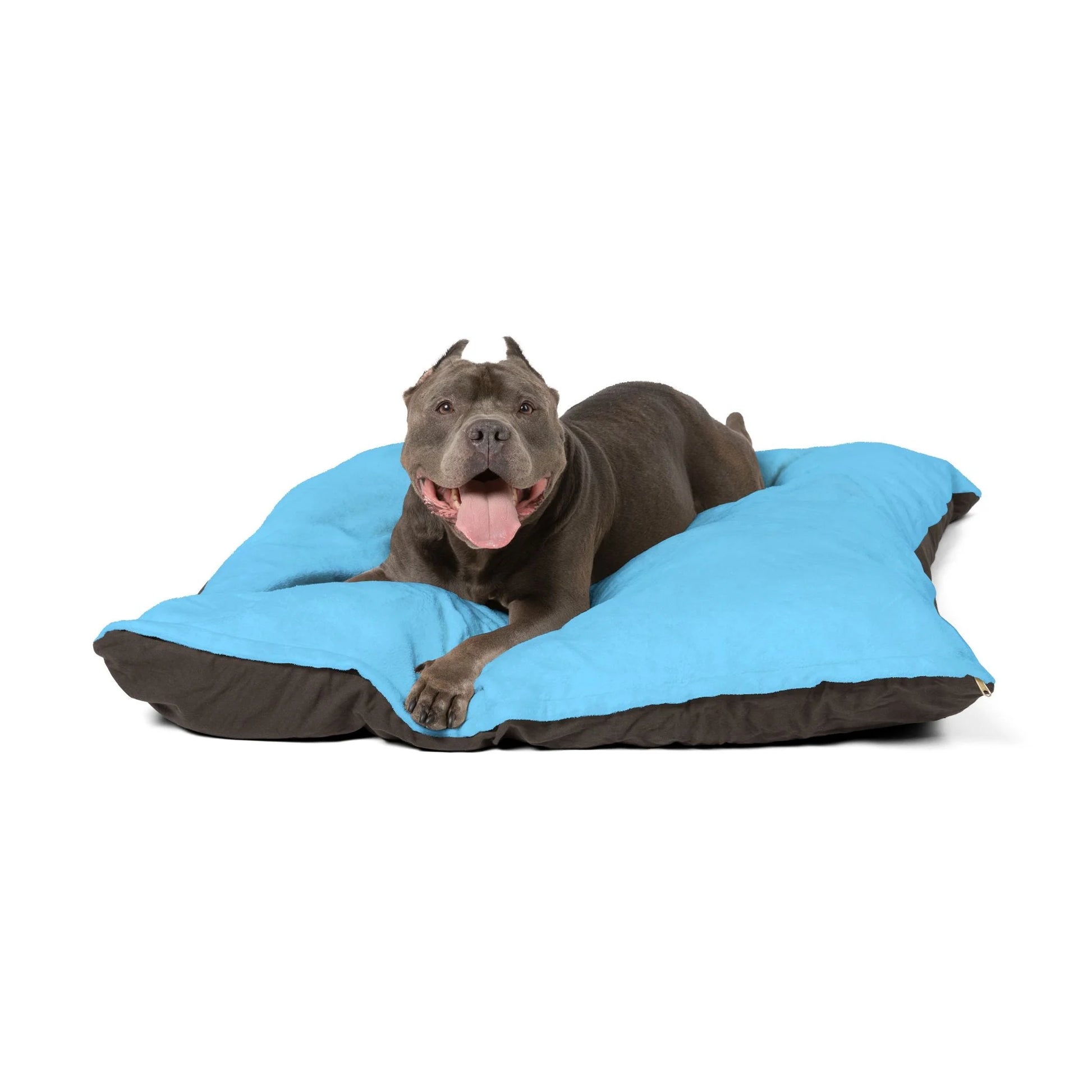 Buy The Best By Artsulli x Color Printify - Pet Bed - 2026