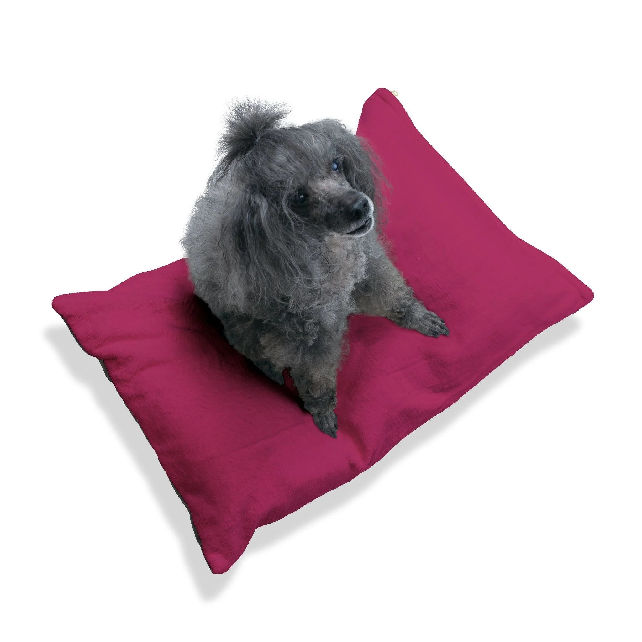 Buy The Best By Artsulli x Color Printify - Pet Bed - 2026