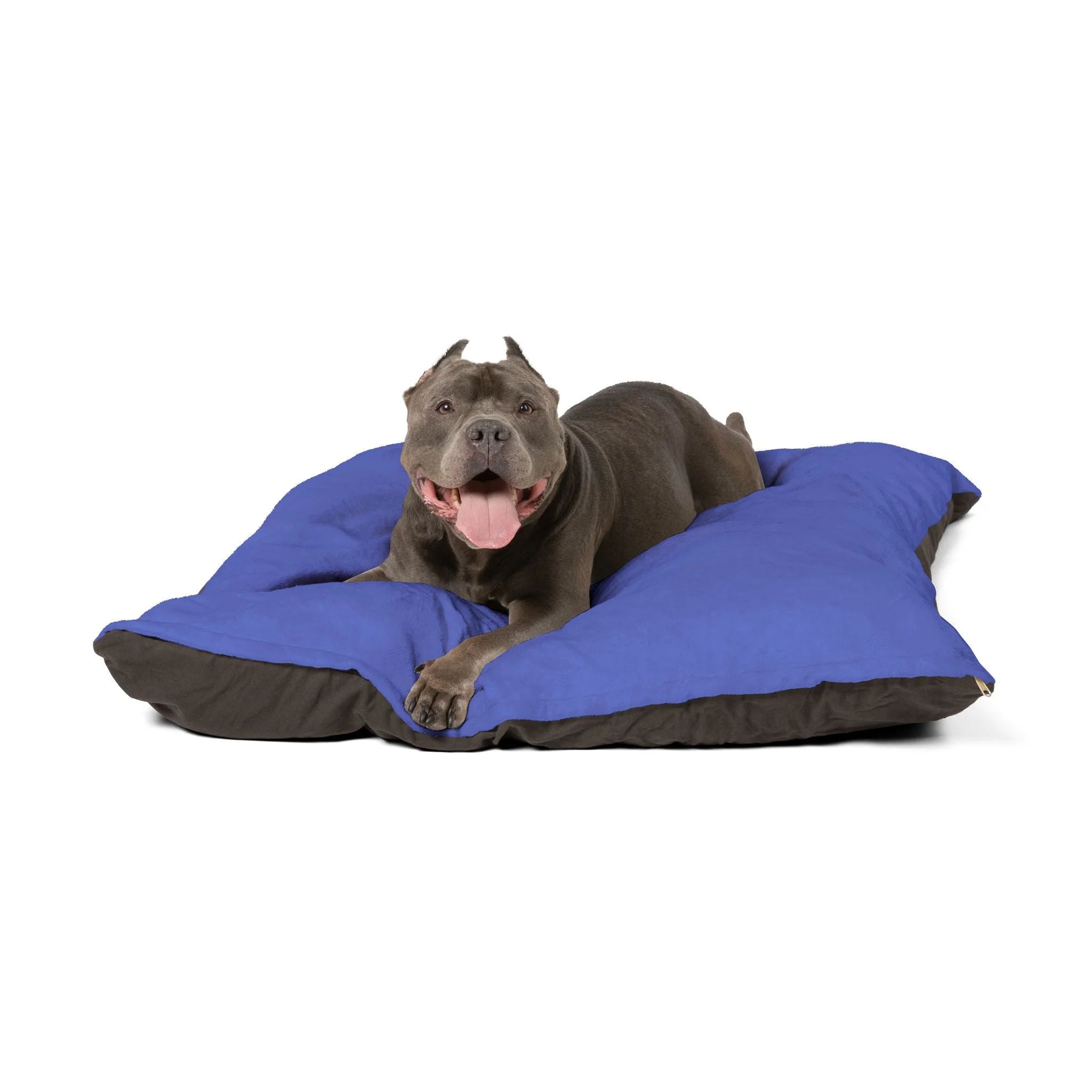 Buy The Best By Artsulli x Color Printify - Pet Bed - 2026