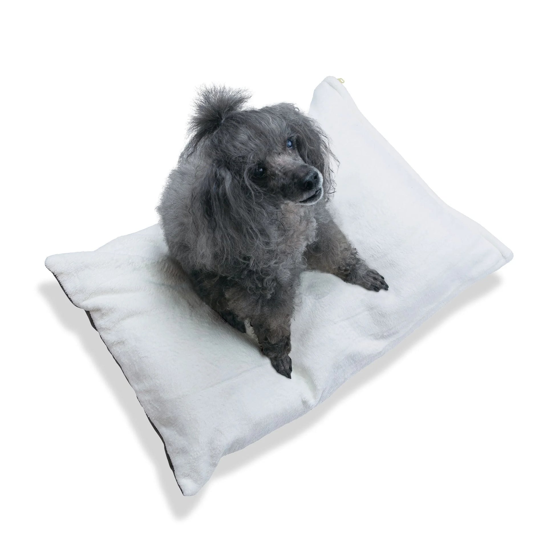 Buy The Best By Artsulli x Color Printify - Pet Bed - 2026
