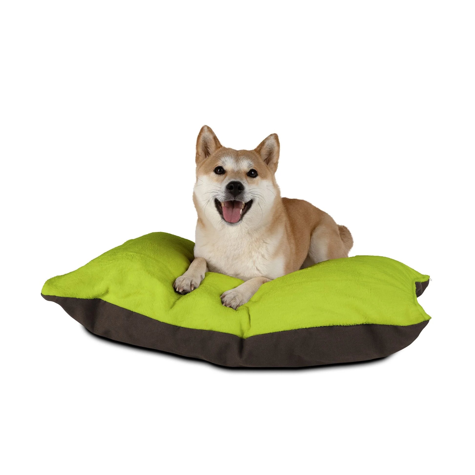 Buy The Best By Artsulli x Color Printify - Pet Bed - 2026