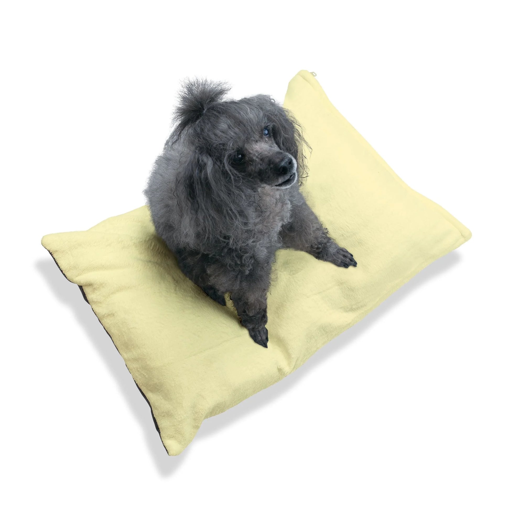 Buy The Best By Artsulli x Color Printify - Pet Bed - 2026
