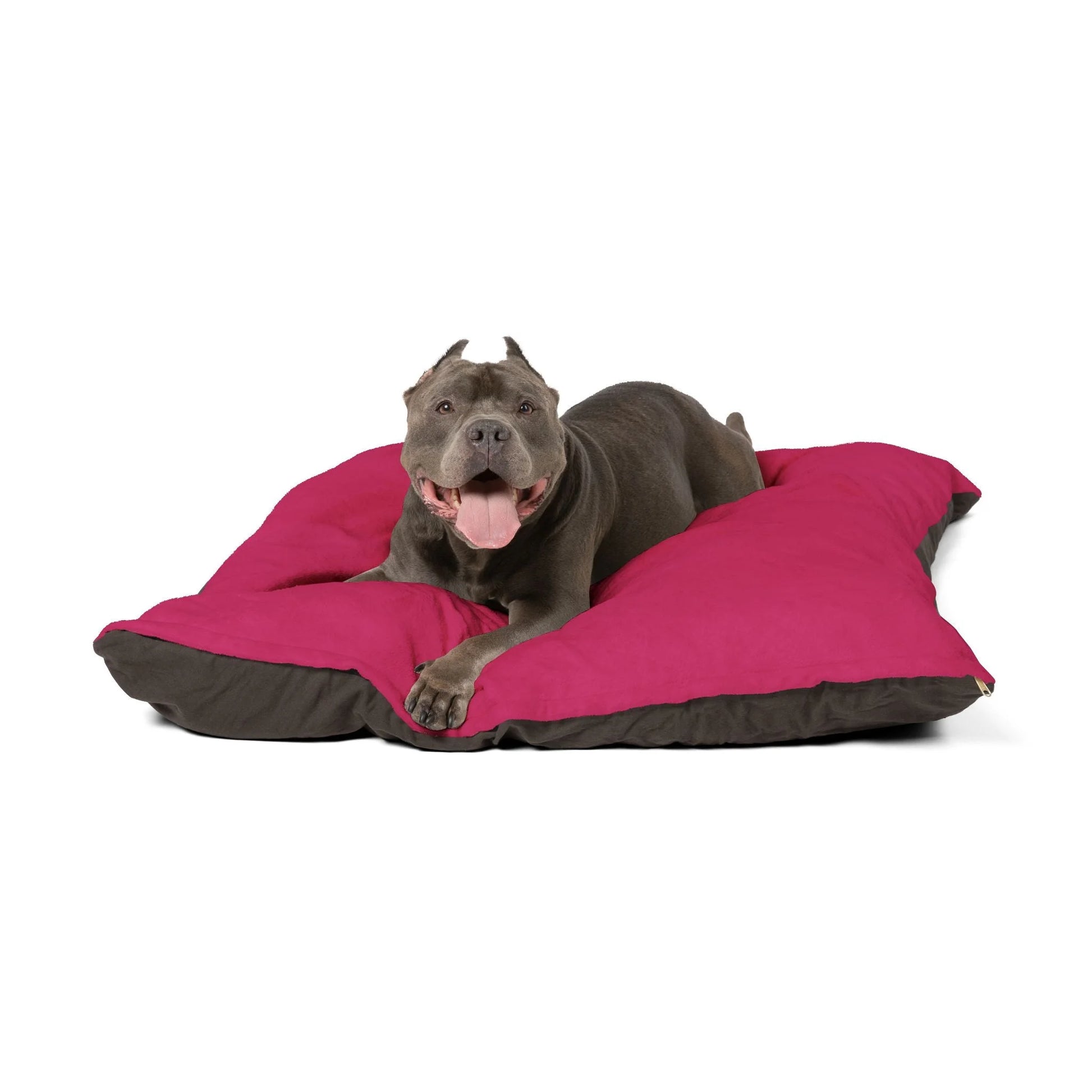 Buy The Best By Printify - Pet Bed - 2026