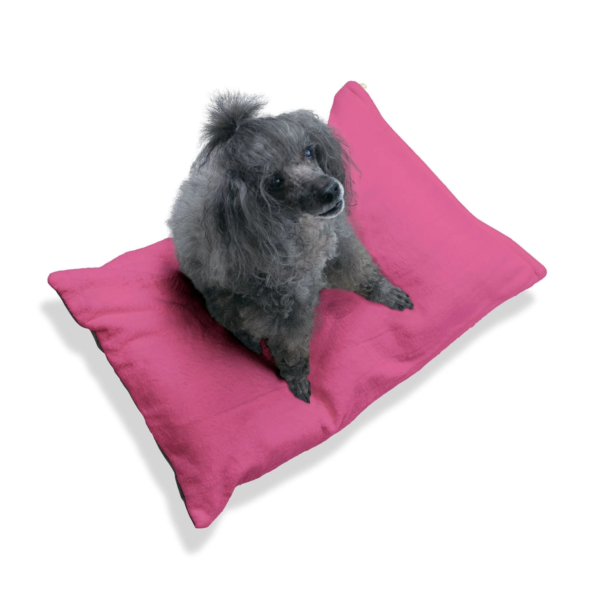 Buy The Best By Artsulli x Color Printify - Pet Bed - 2026