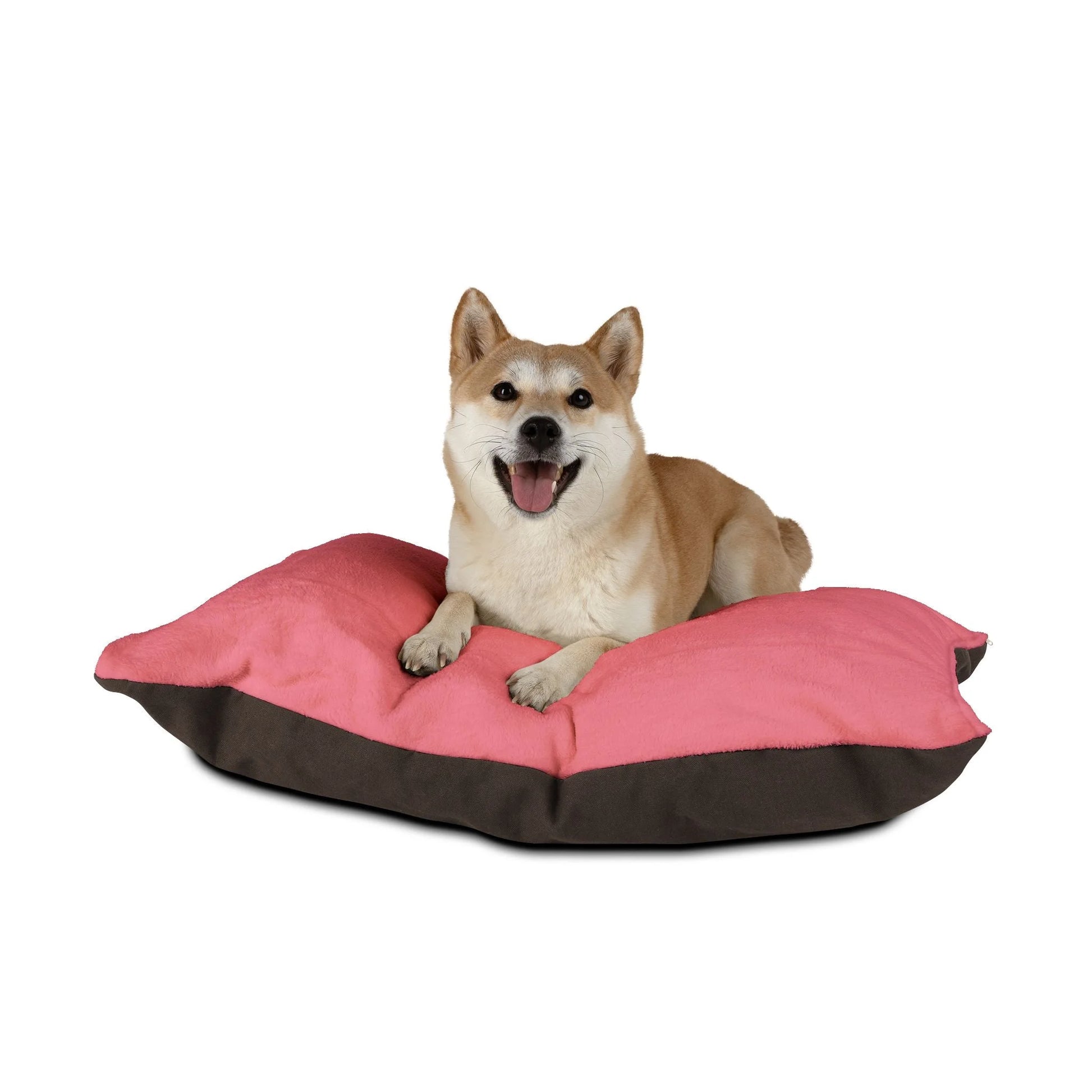 Buy The Best By Artsulli x Color Printify - Pet Bed - 2026