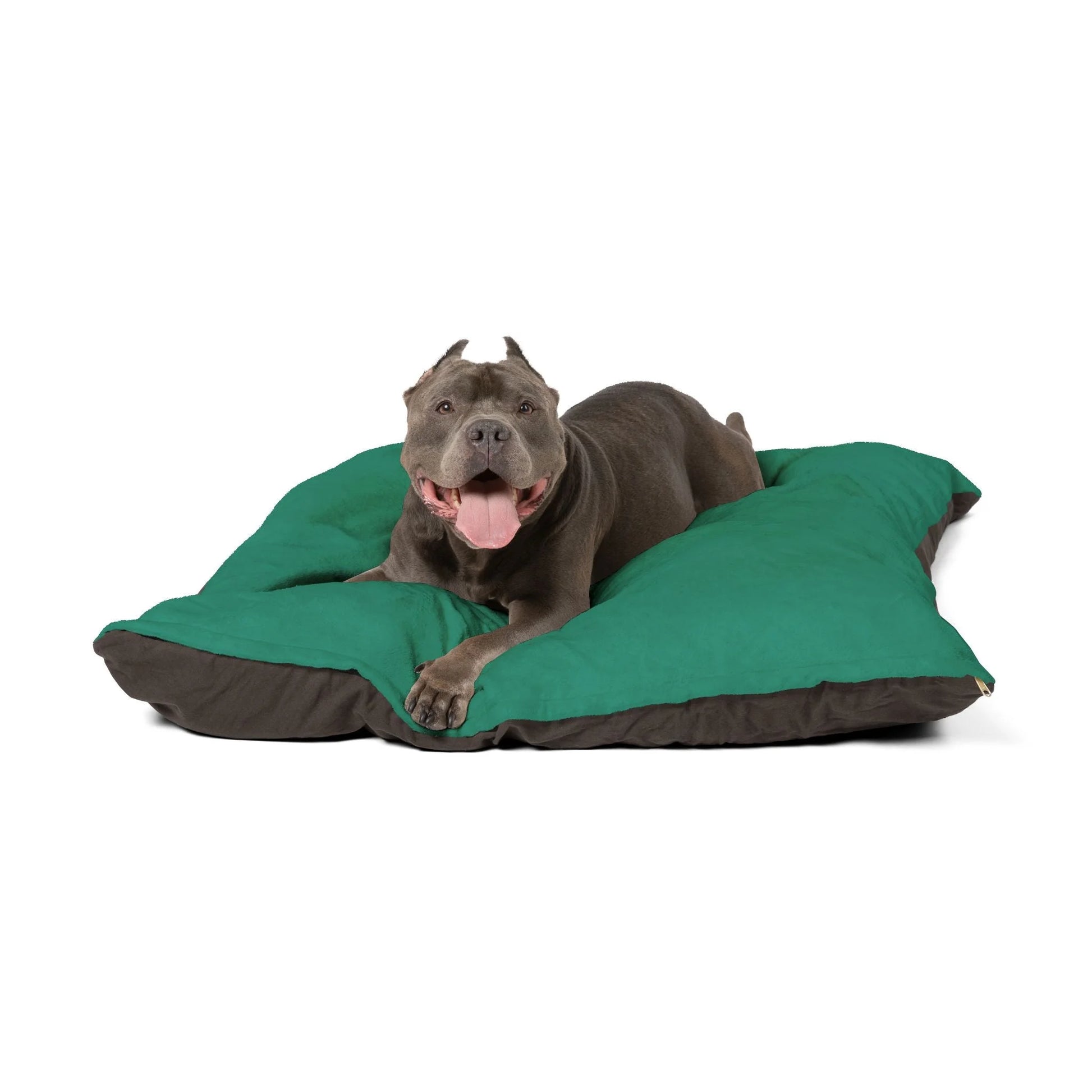 Buy The Best By Printify - Pet Bed - 2026