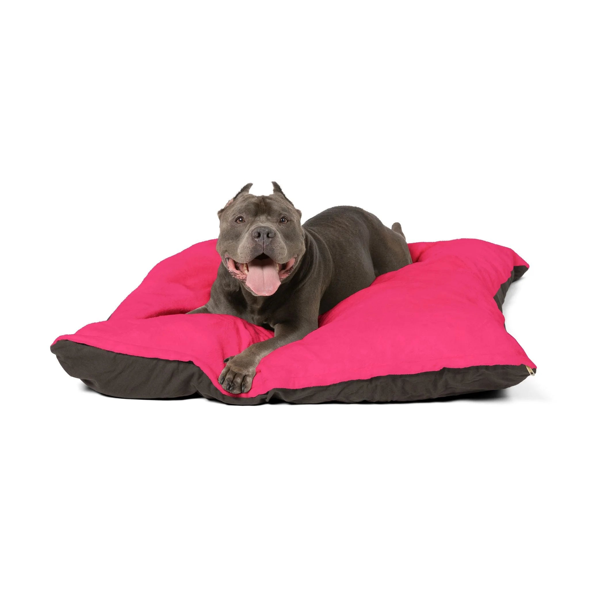 Buy The Best By Artsulli x Color Printify - Pet Bed - 2026