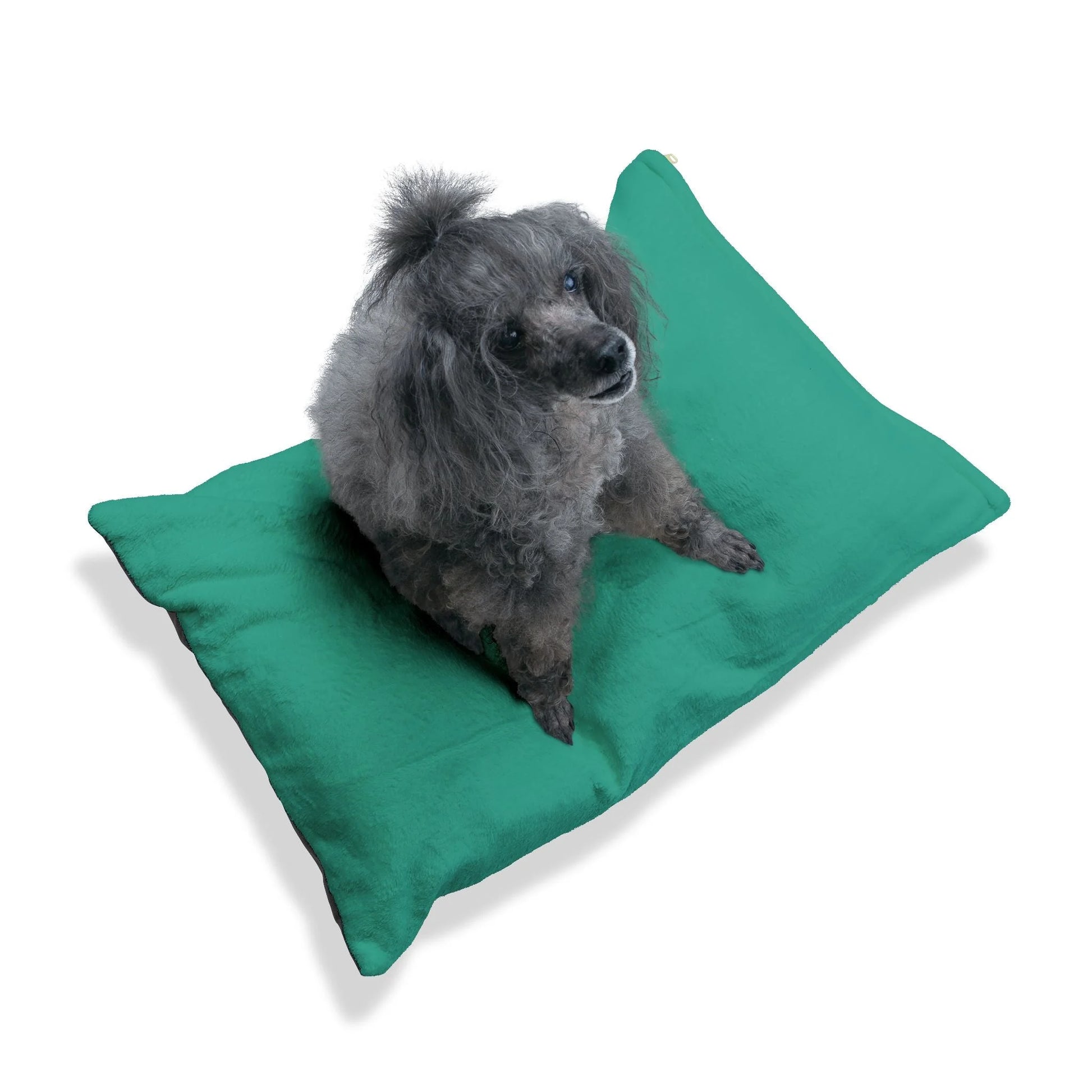 Buy The Best By Artsulli x Color Printify - Pet Bed - 2026