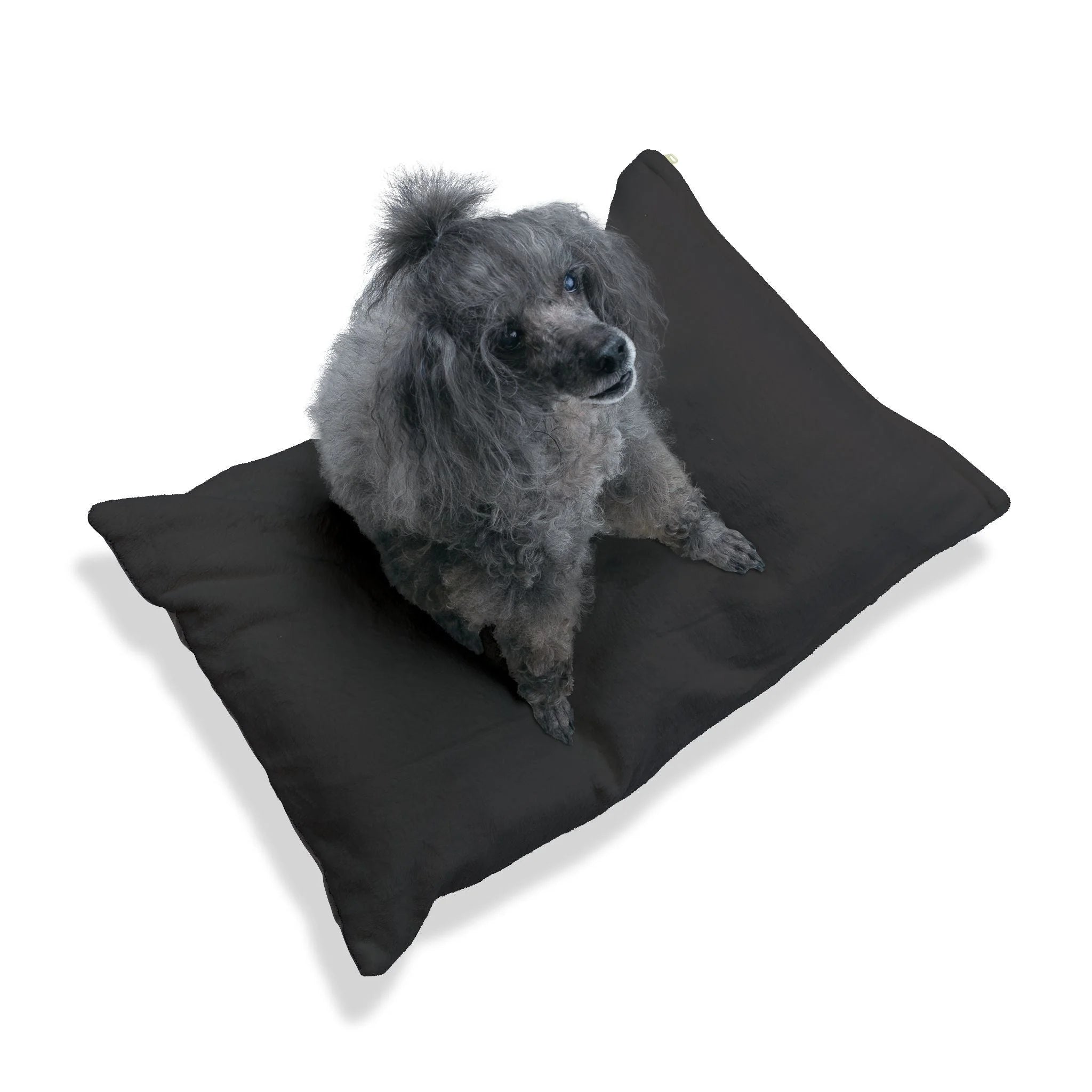 Buy The Best By Artsulli x Color Printify - Pet Bed - 2026