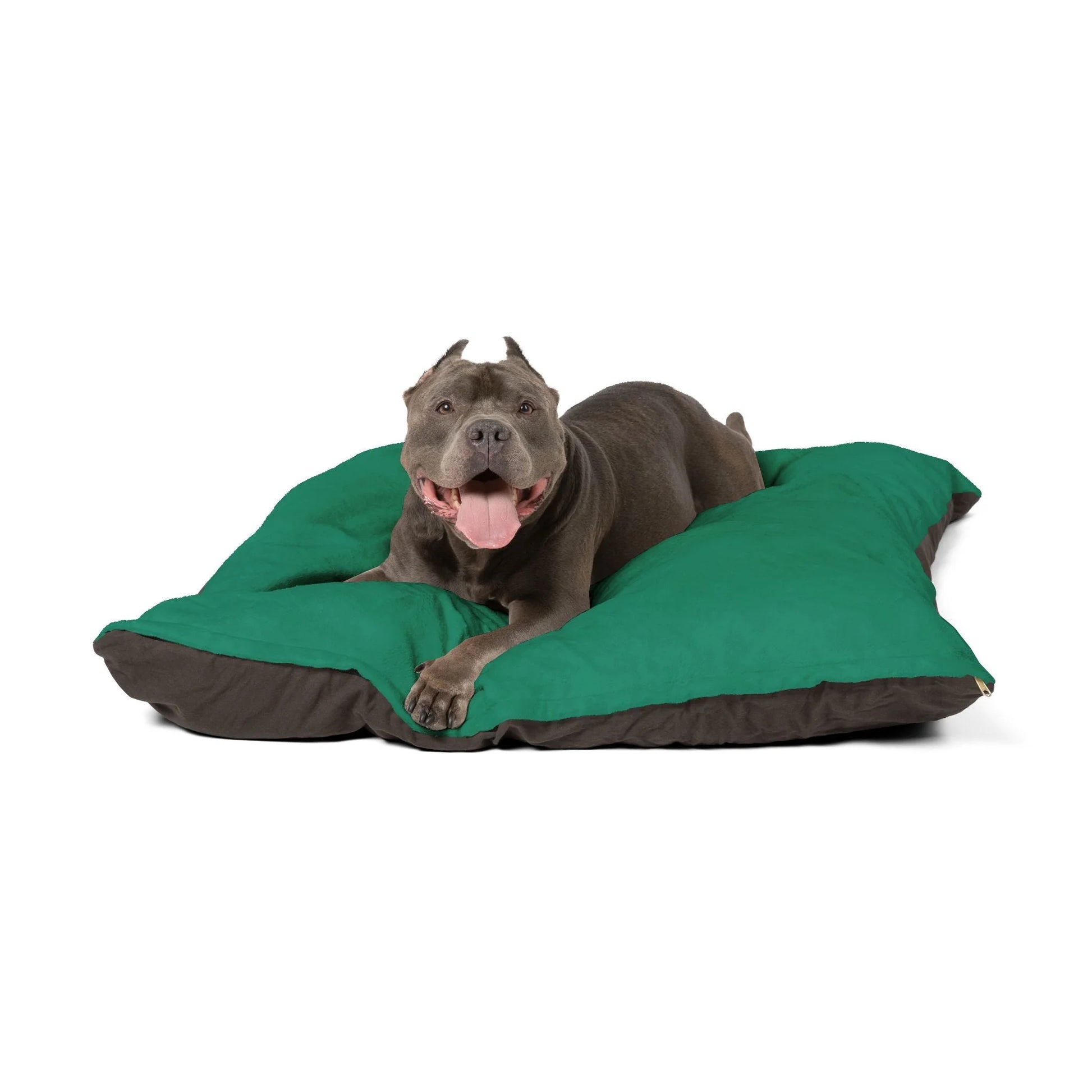 Buy The Best By Artsulli x Color Printify - Pet Bed - 2026