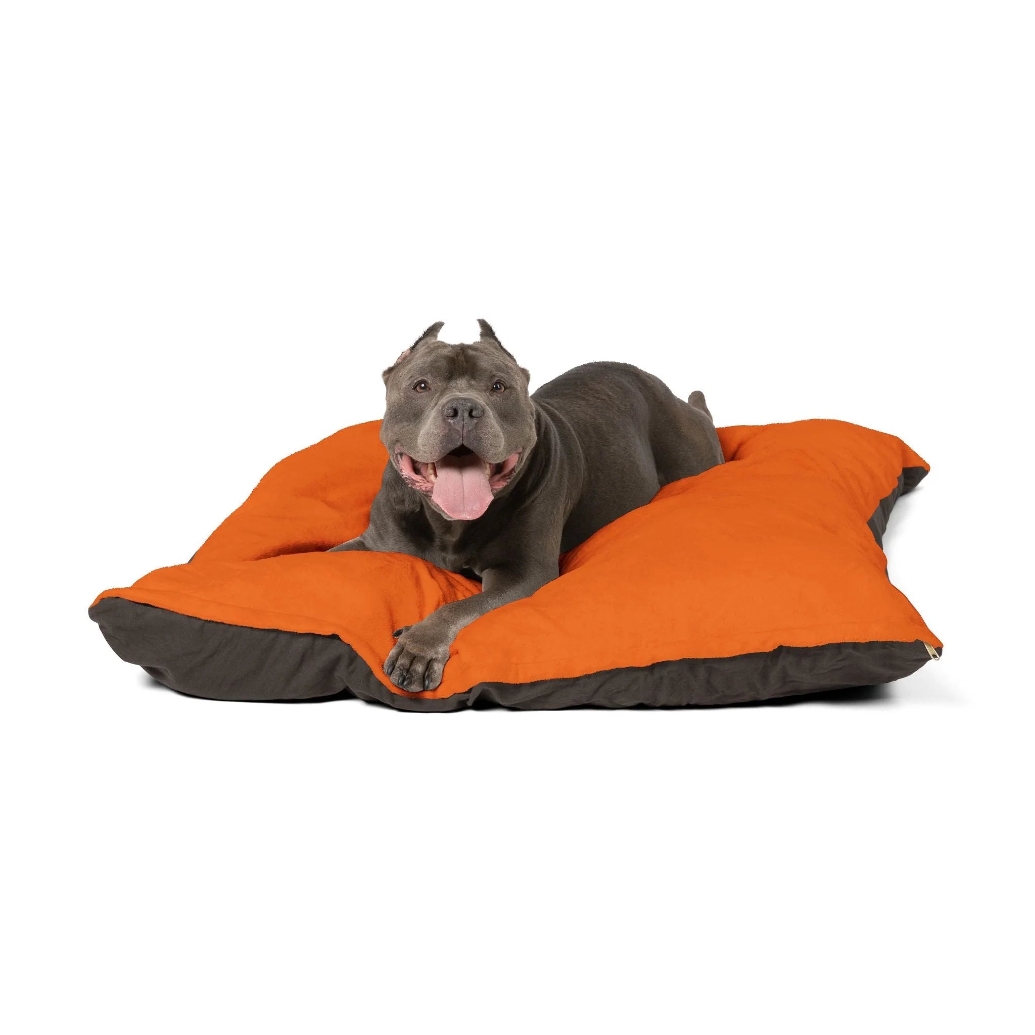 Buy The Best By Artsulli x Color Printify - Pet Bed - 2026