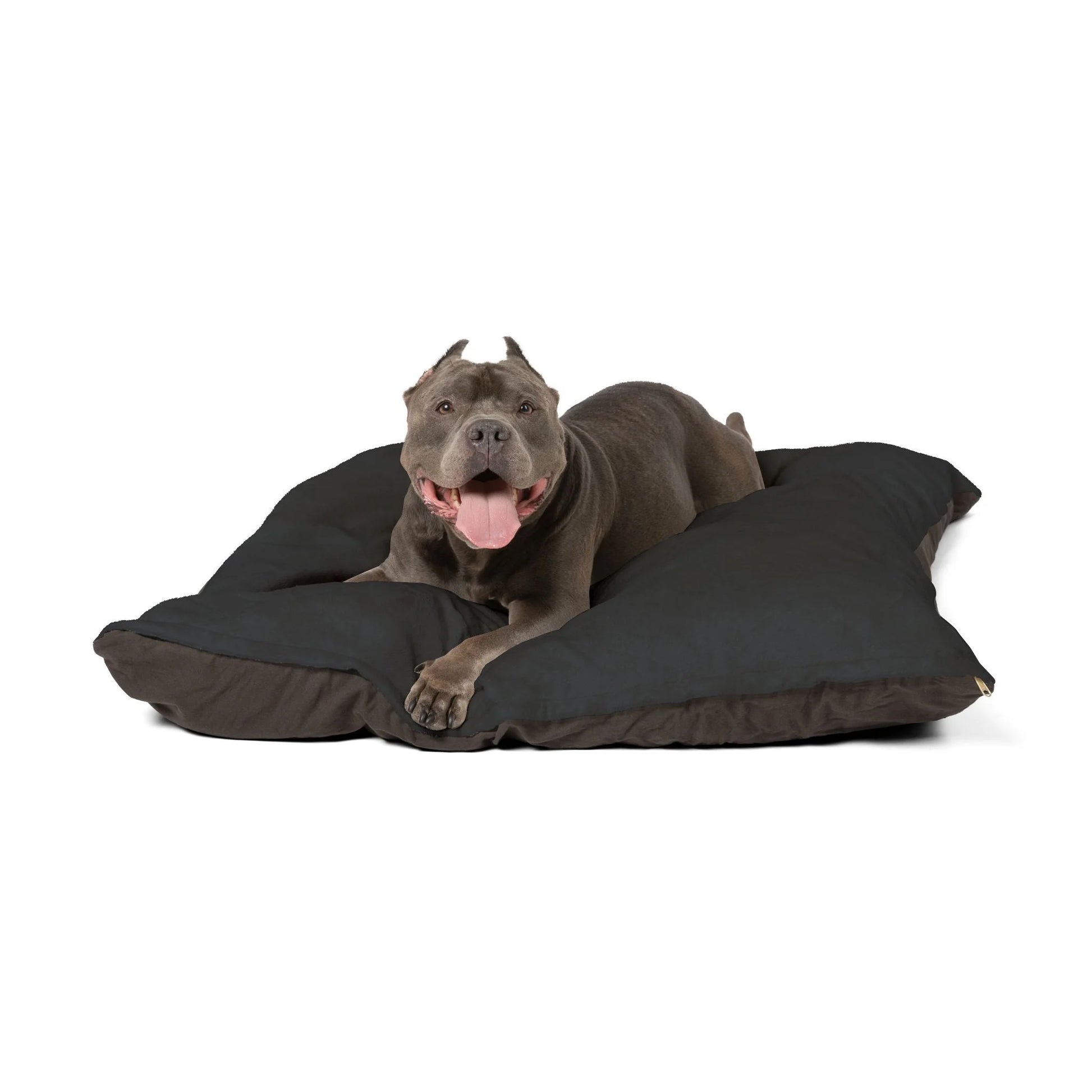 Buy The Best By Artsulli x Color Printify - Pet Bed - 2026
