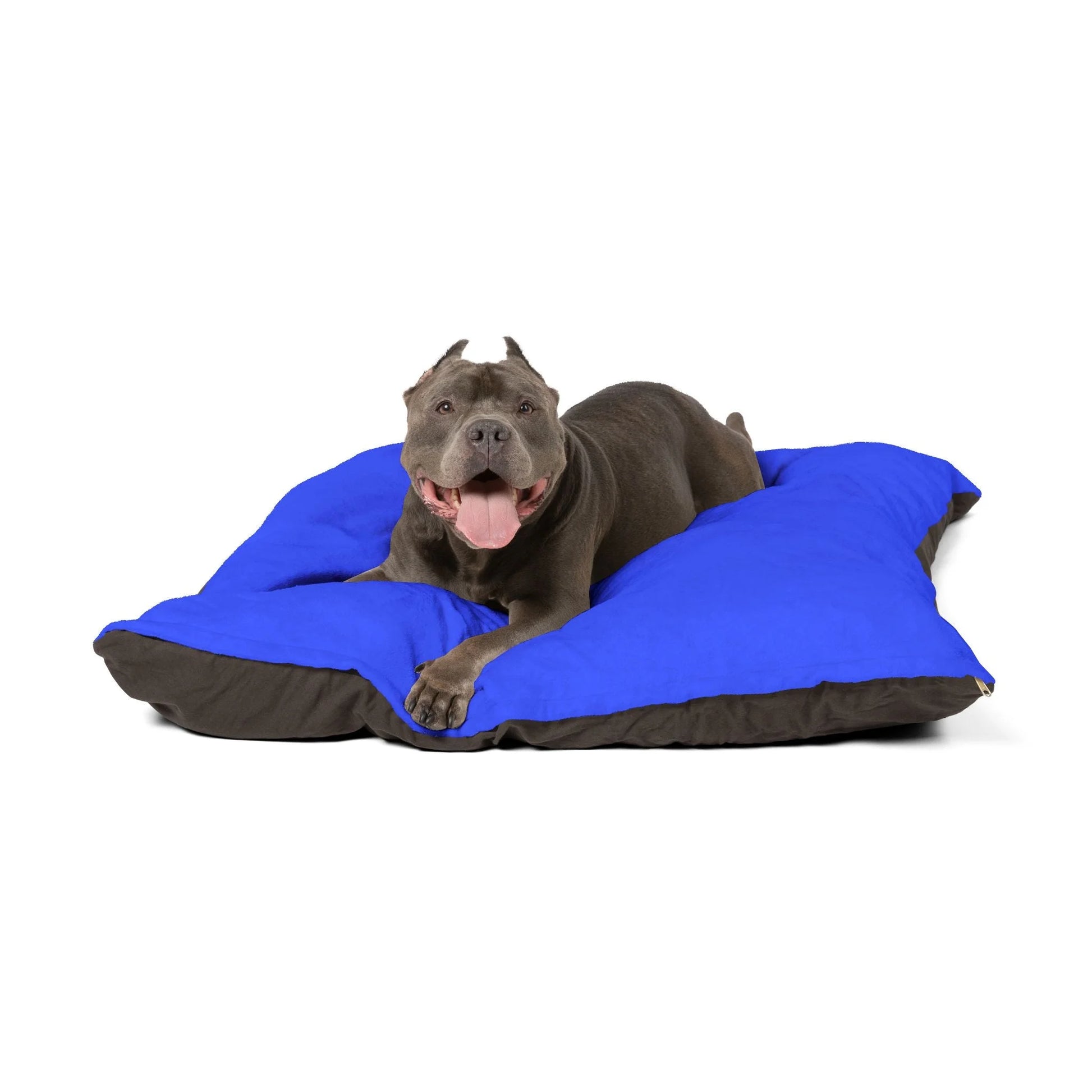Buy The Best By Artsulli x Color Printify - Pet Bed - 2026