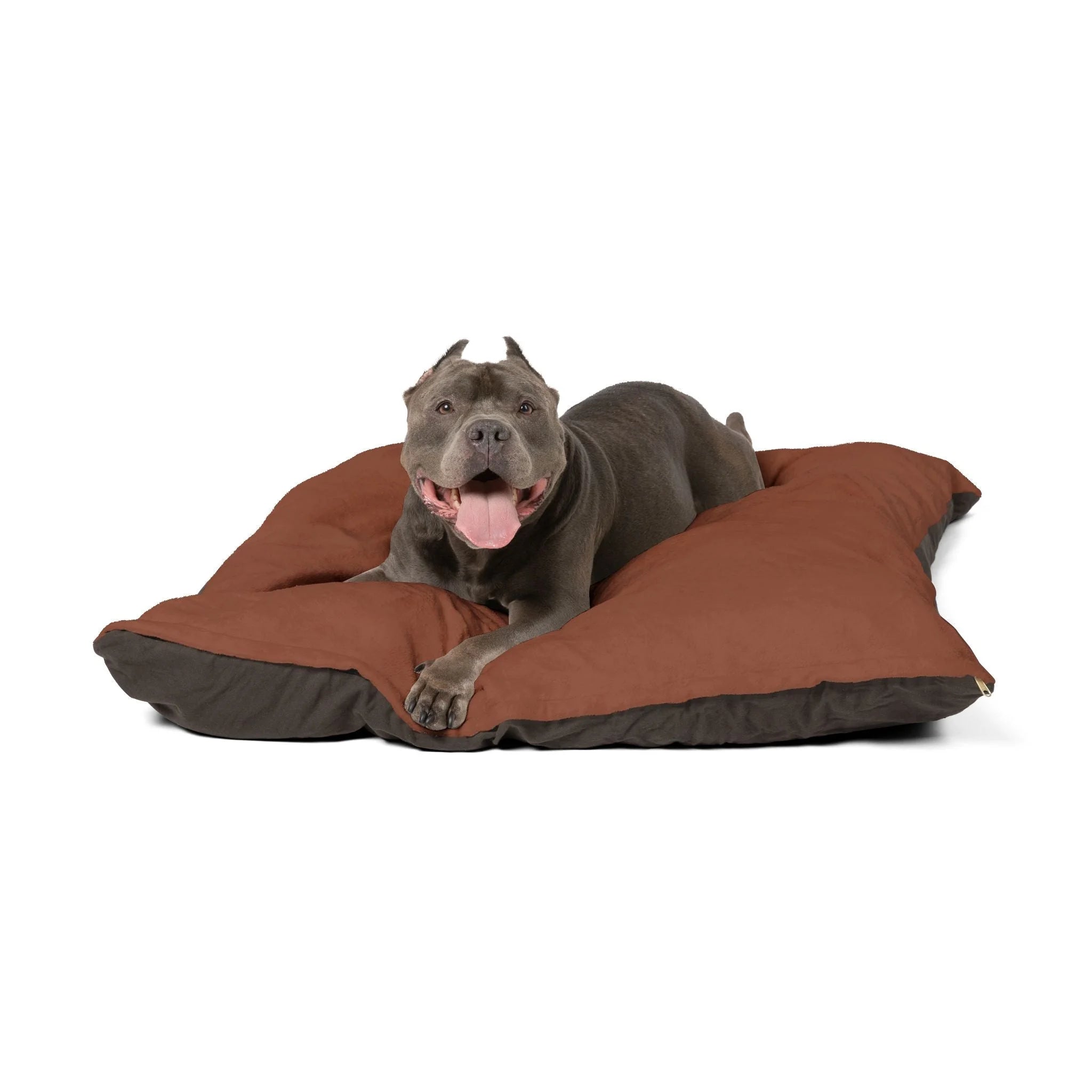 Buy The Best By Artsulli x Color Printify - Pet Bed - 2026