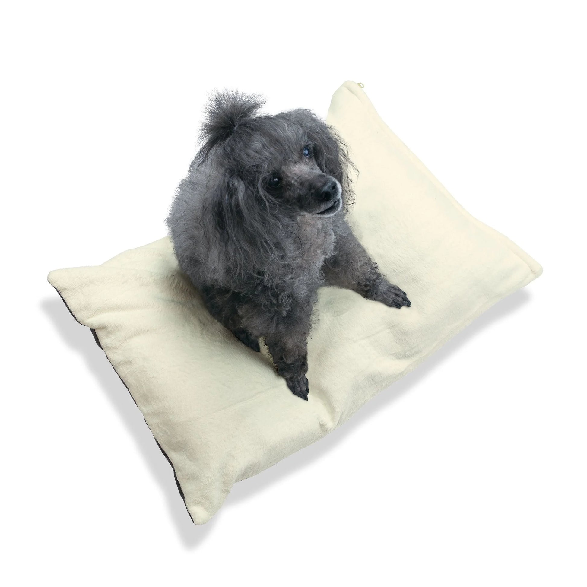 Buy The Best By Artsulli x Color Printify - Pet Bed - 2026