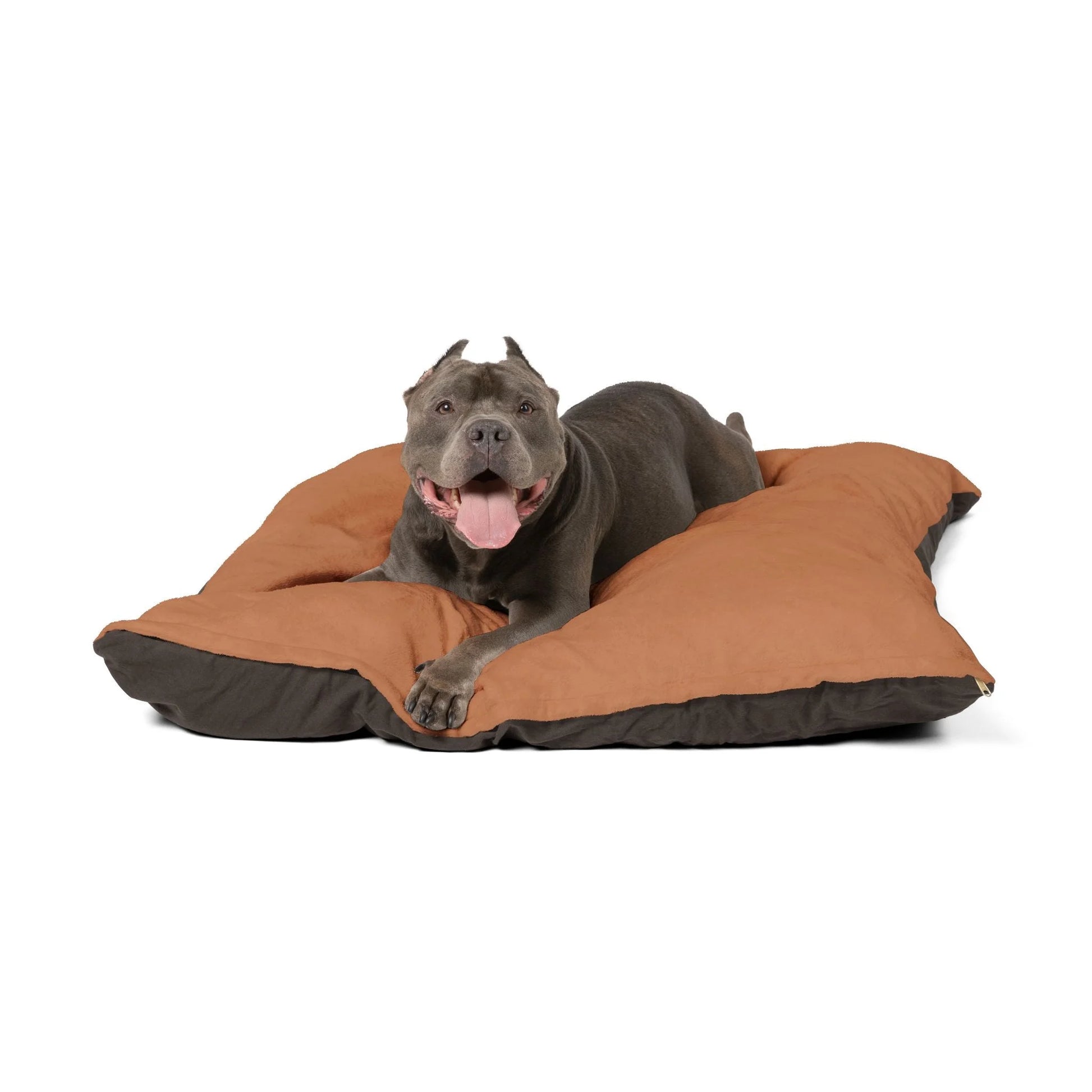 Buy The Best By Artsulli x Color Printify - Pet Bed - 2026