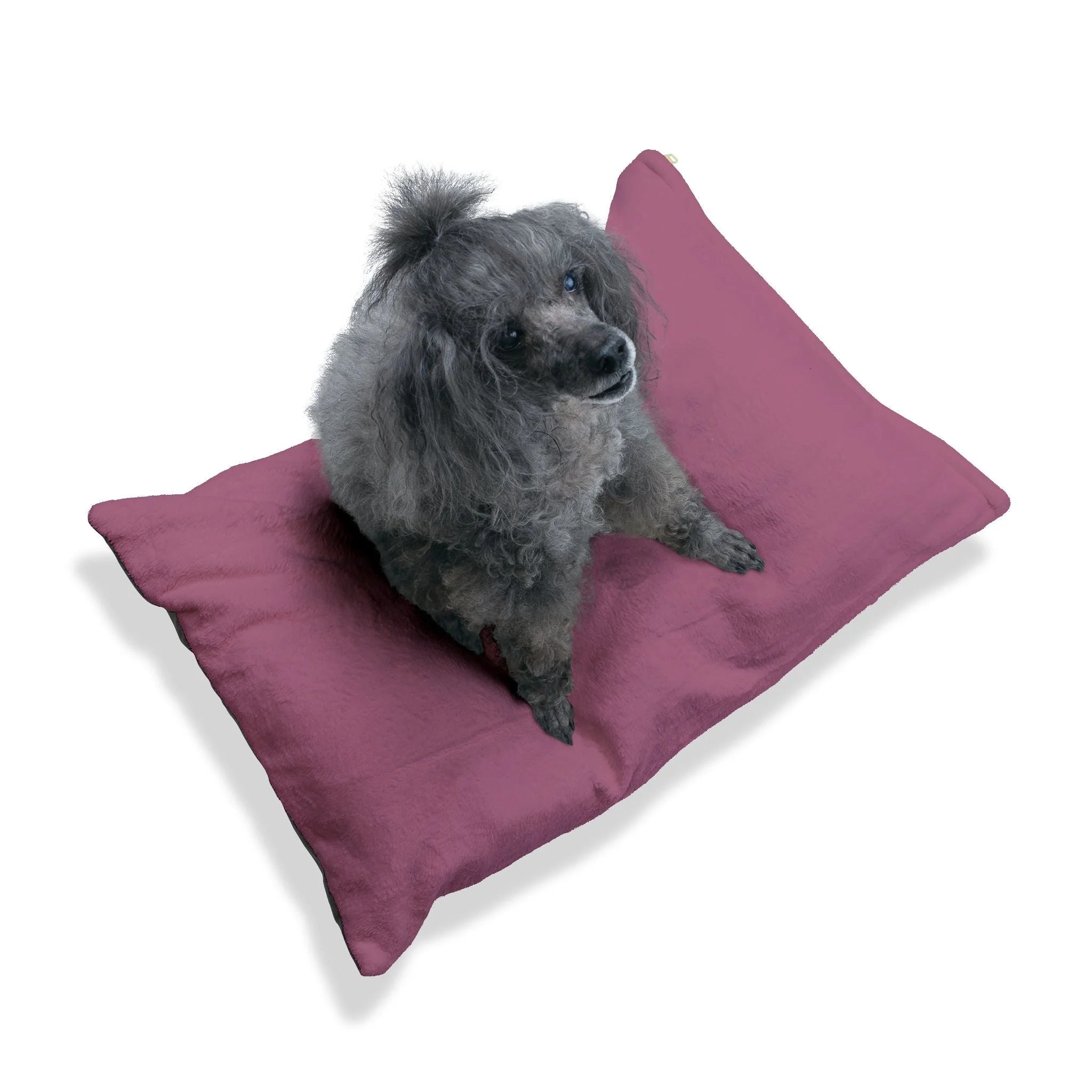 Buy The Best By Printify - Pet Bed - 2026