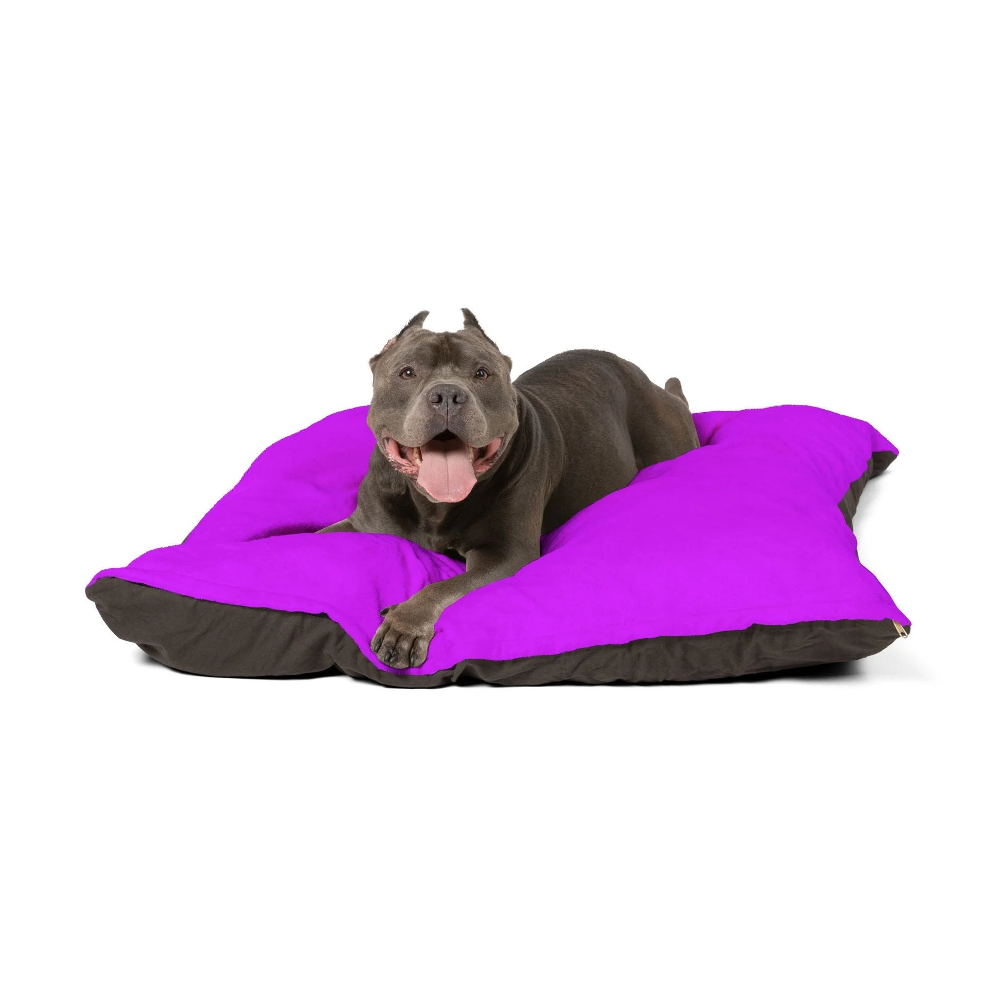 Buy The Best By Artsulli x Color Printify - Pet Bed - 2026