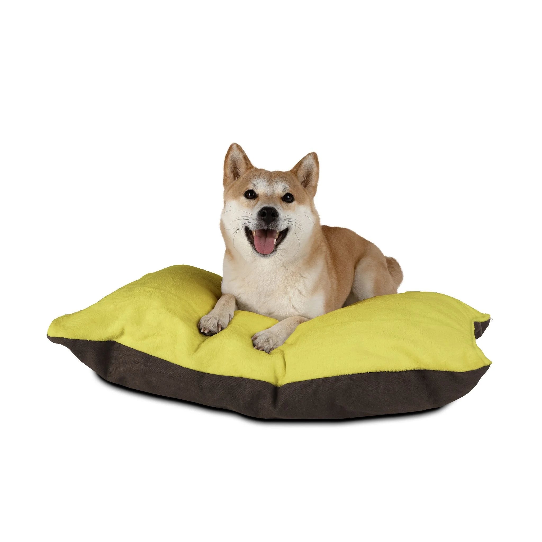 Buy The Best By Artsulli x Color Printify - Pet Bed - 2026