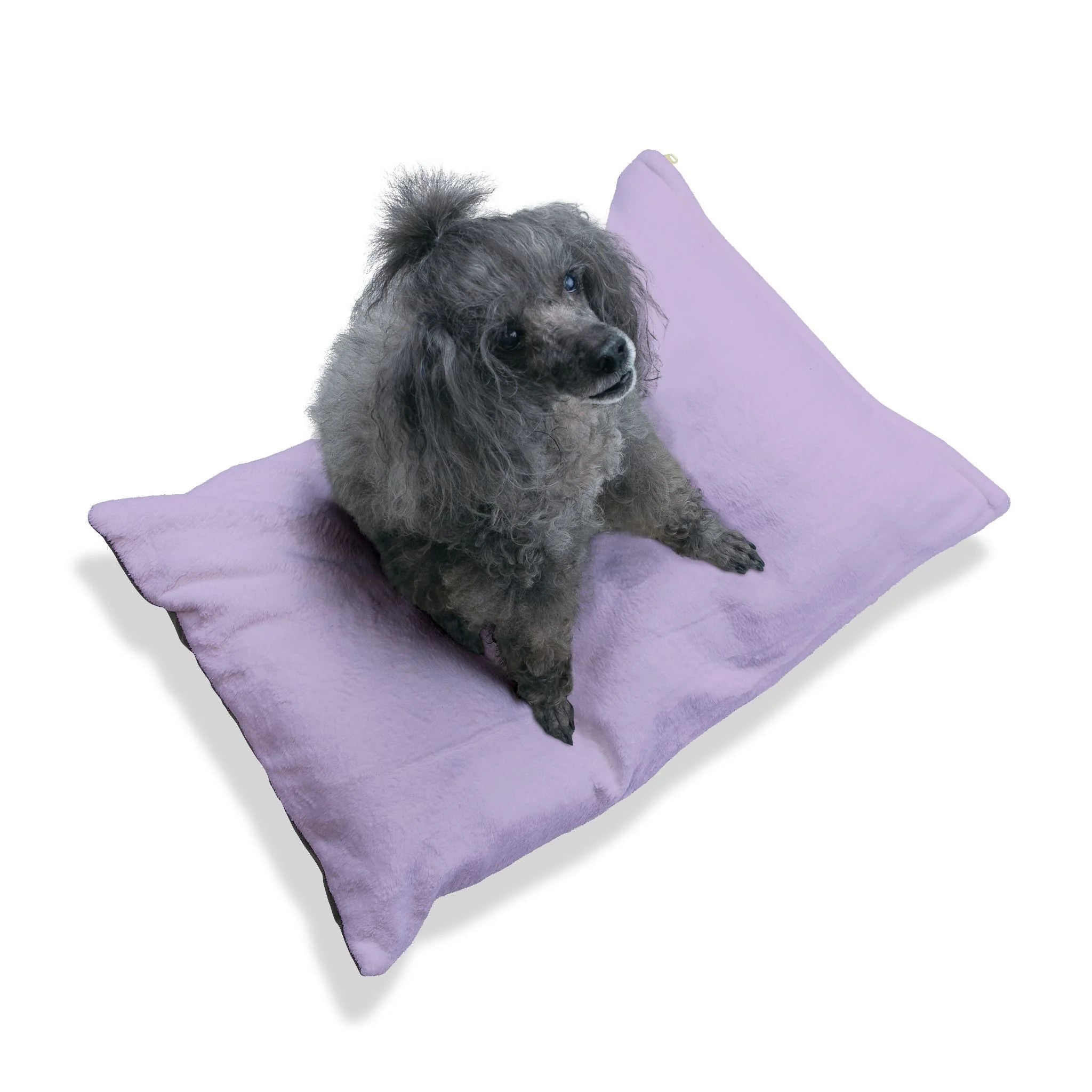 Buy The Best By Artsulli x Color Printify - Pet Bed - 2026