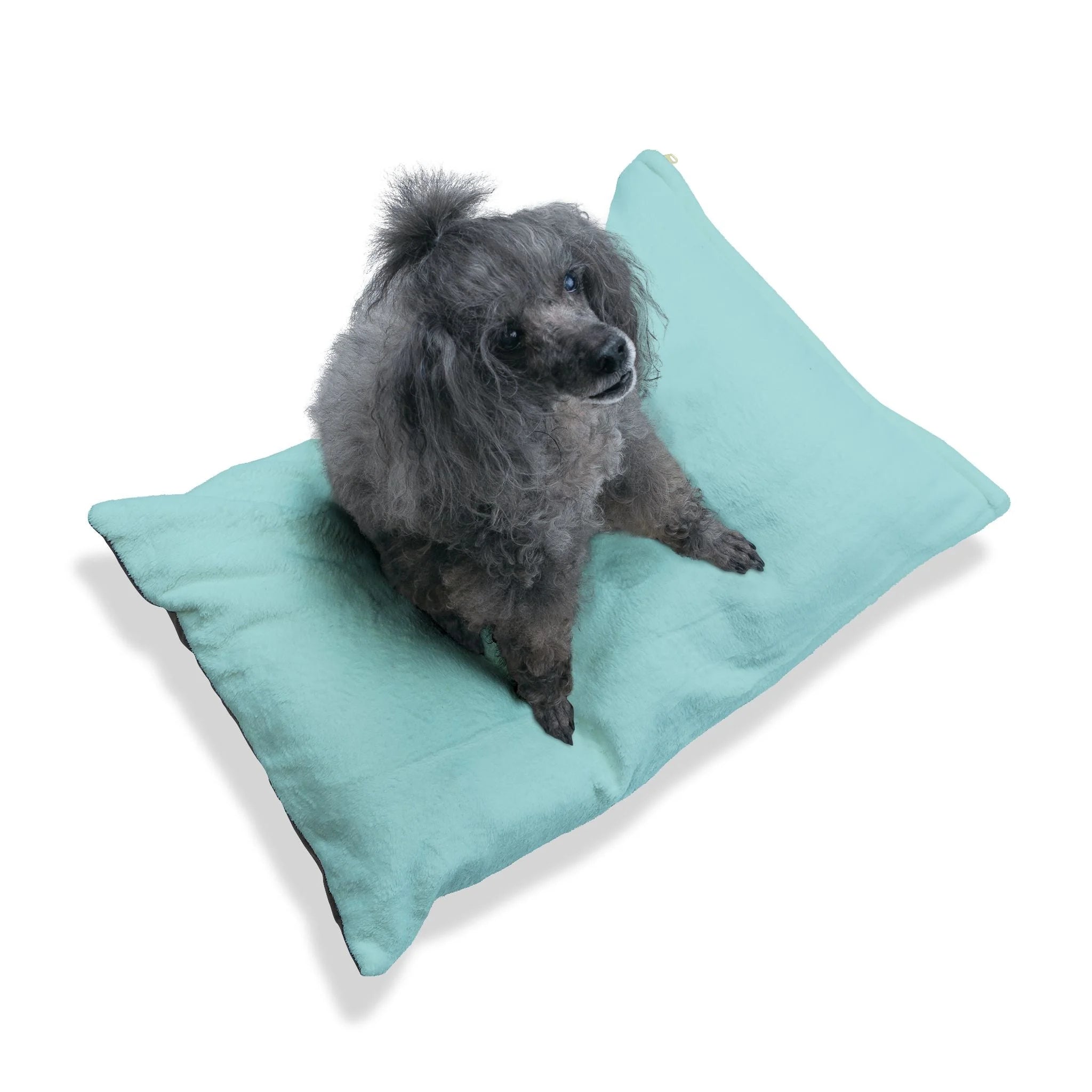 Buy The Best By Artsulli x Color Printify - Pet Bed - 2026