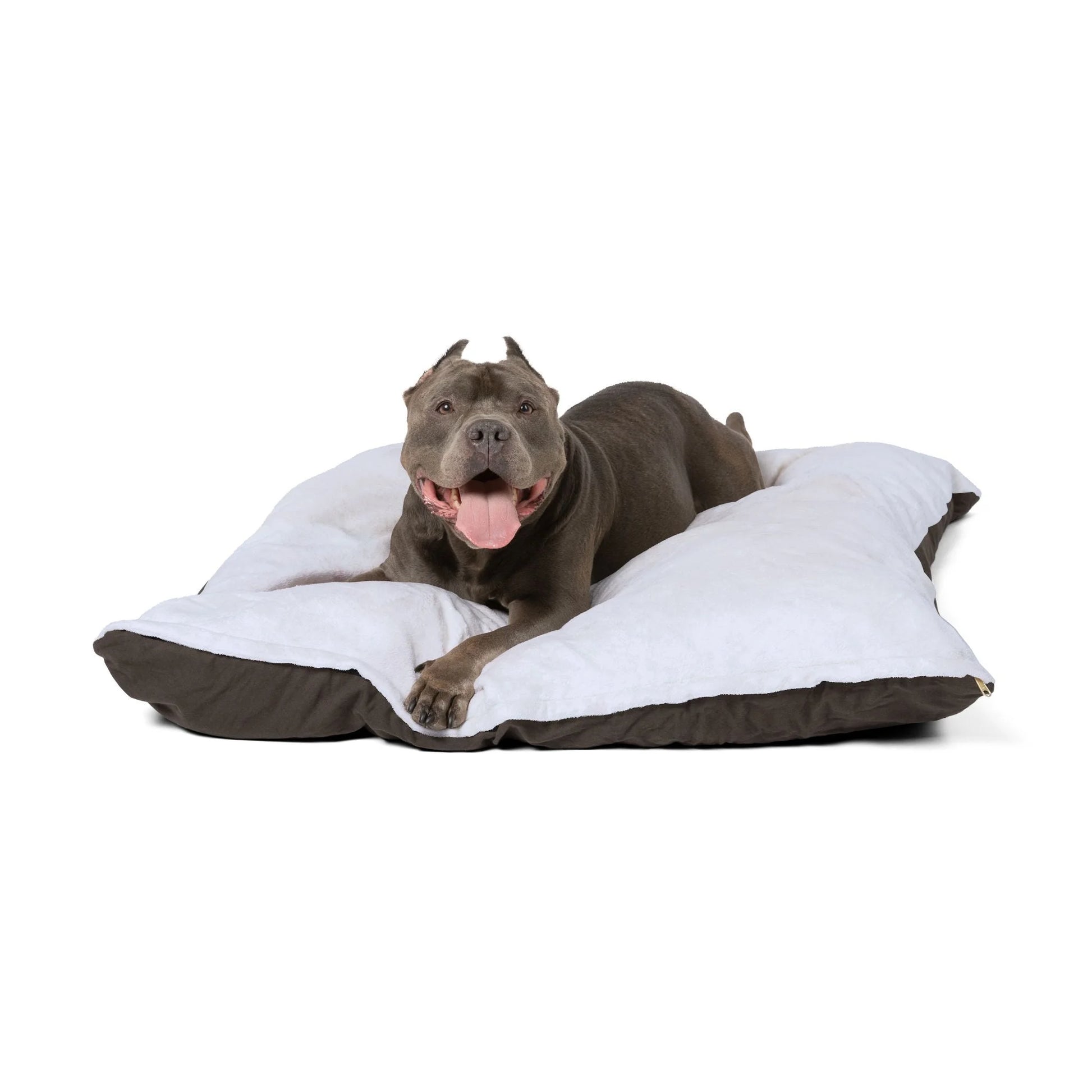 Buy The Best By Artsulli x Color Printify - Pet Bed - 2026