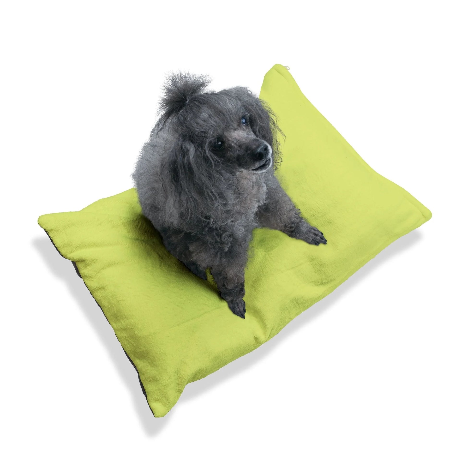 Buy The Best By Artsulli x Color Printify - Pet Bed - 2026