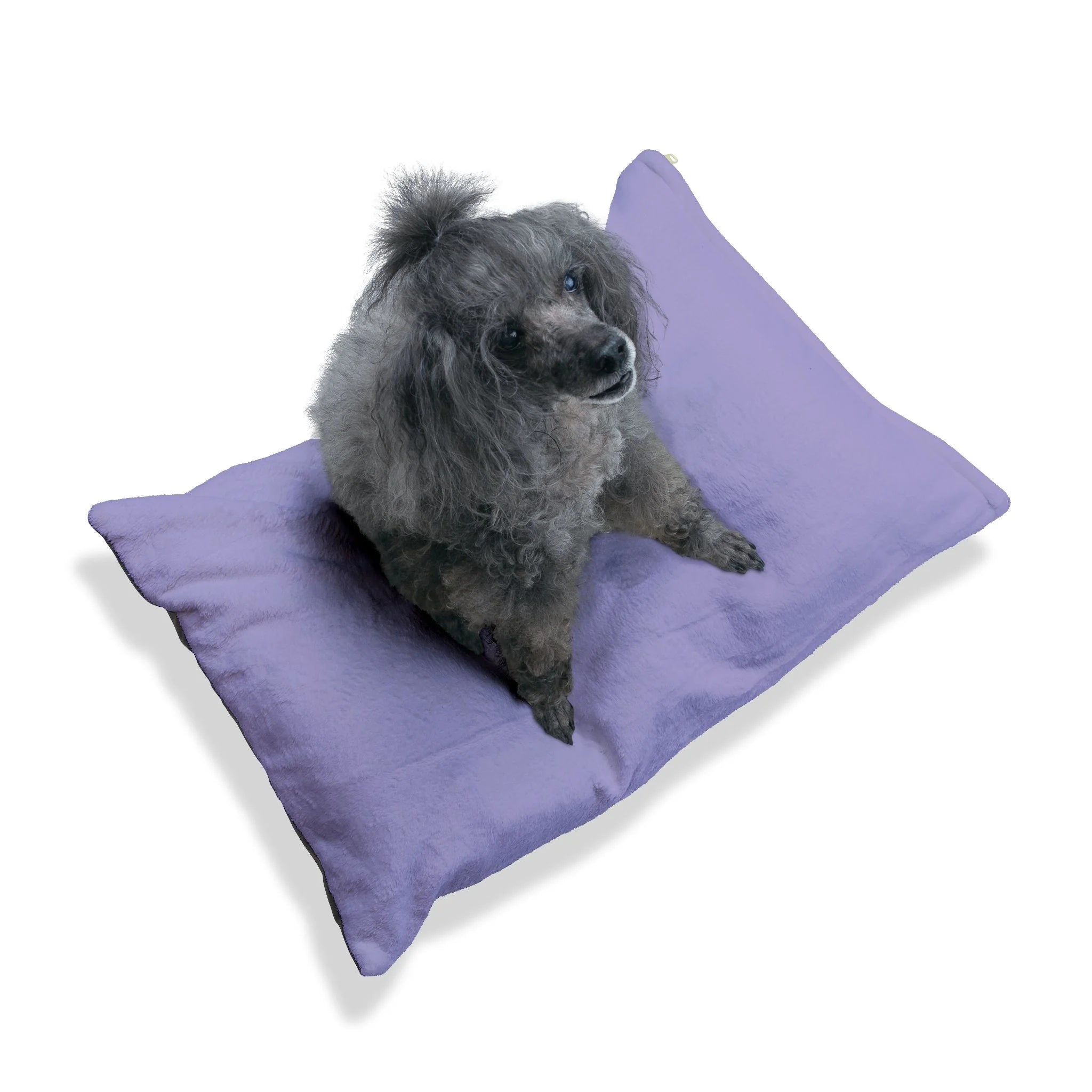 Buy The Best By Artsulli x Color Printify - Pet Bed - 2026