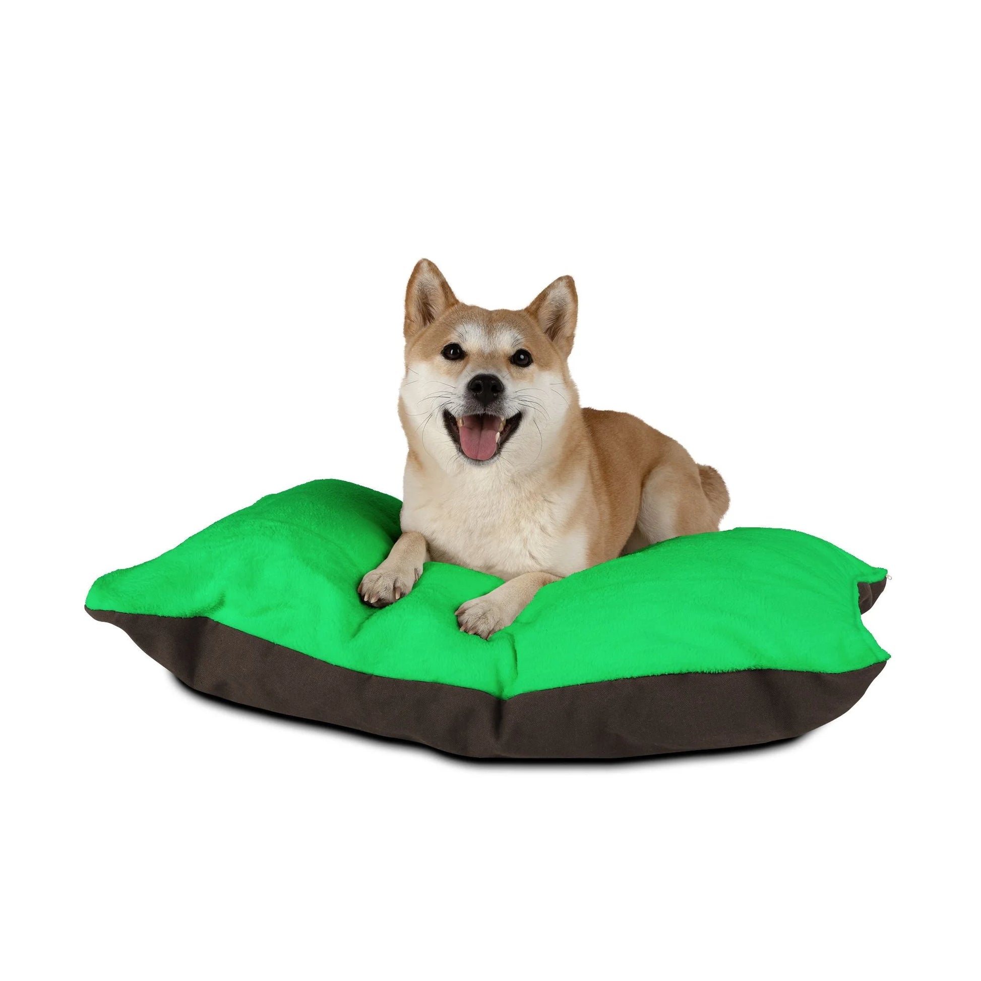 Buy The Best By Artsulli x Color Printify - Pet Bed - 2026