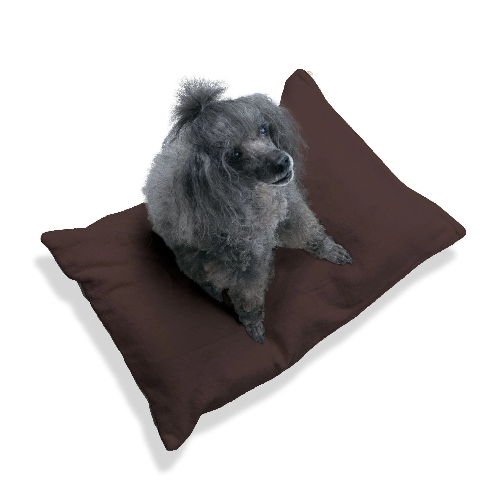 Buy The Best By Artsulli x Color Printify - Pet Bed - 2026